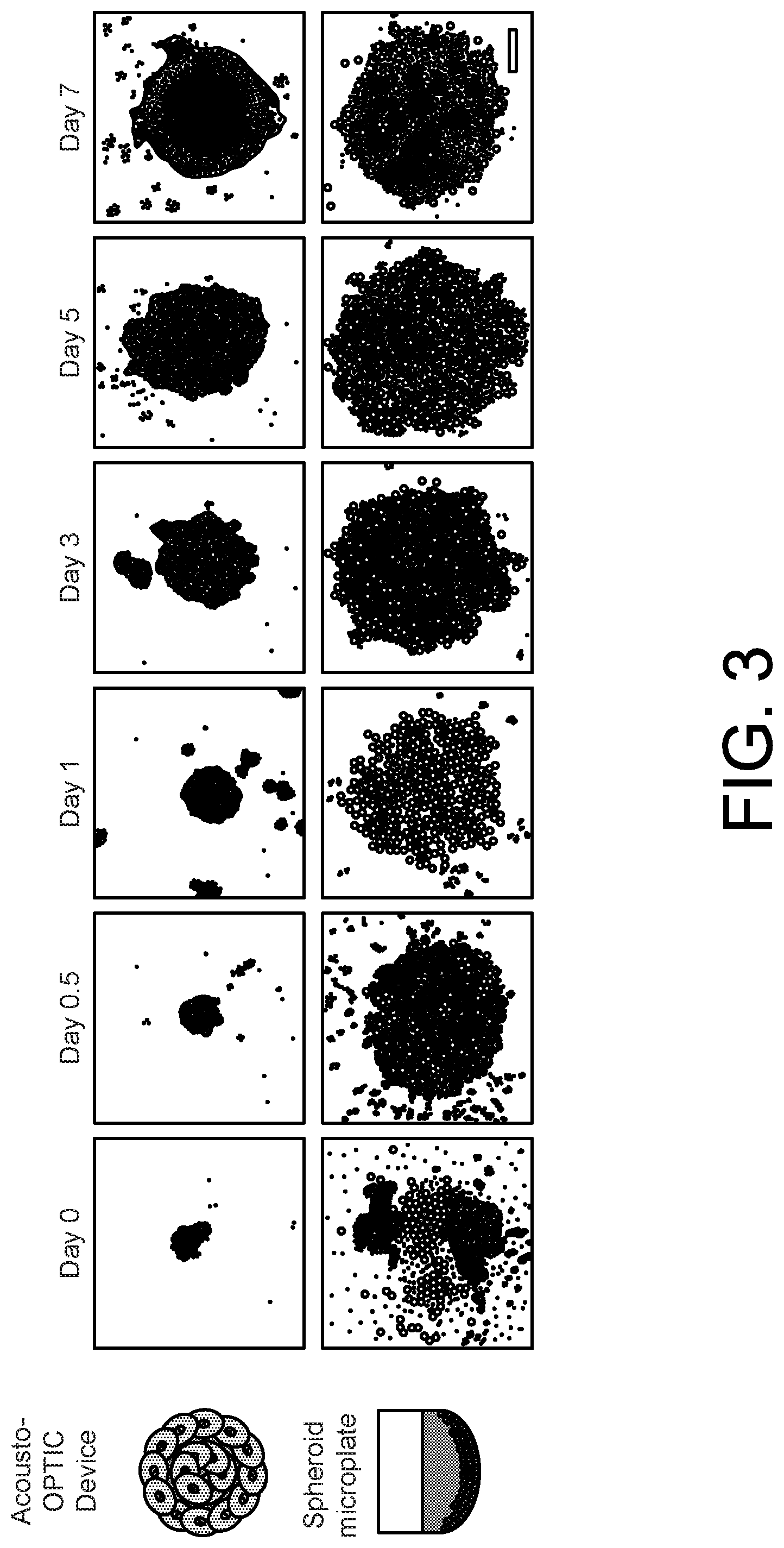 Patent US12590277 Figure 8 – High-throughput acoustofluidic fabrication of cell spheroids