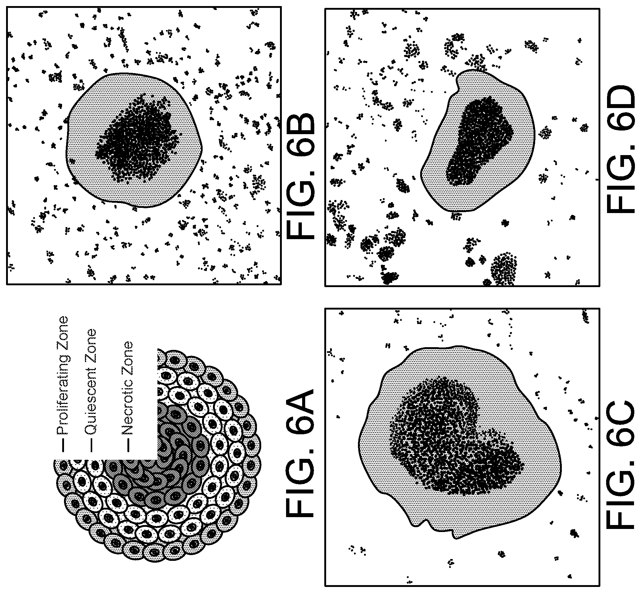 Patent US12590277 Figure 12 – High-throughput acoustofluidic fabrication of cell spheroids