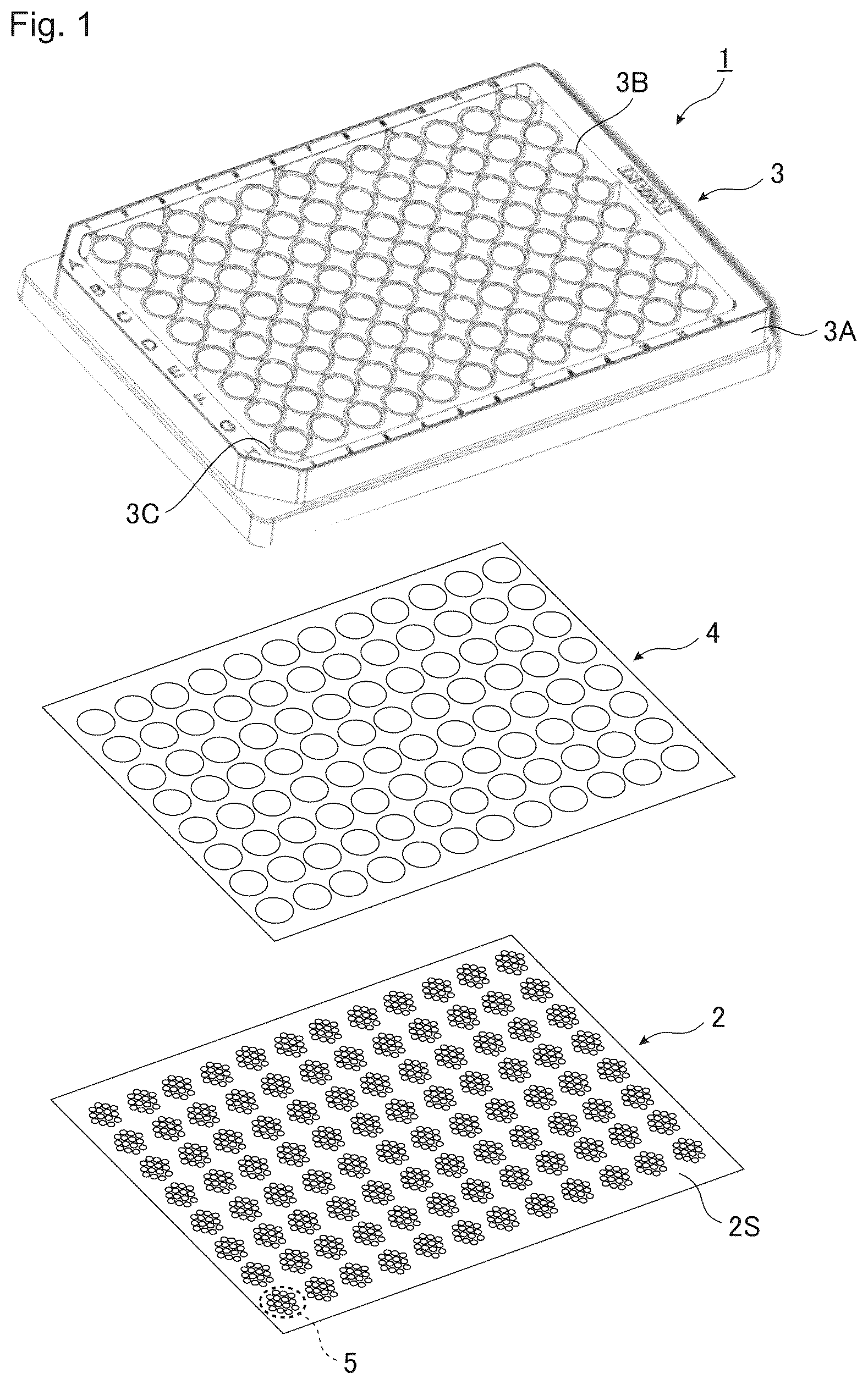 Patent US12590279 Figure 1 – Substrate of cell culture container, and cell culture container