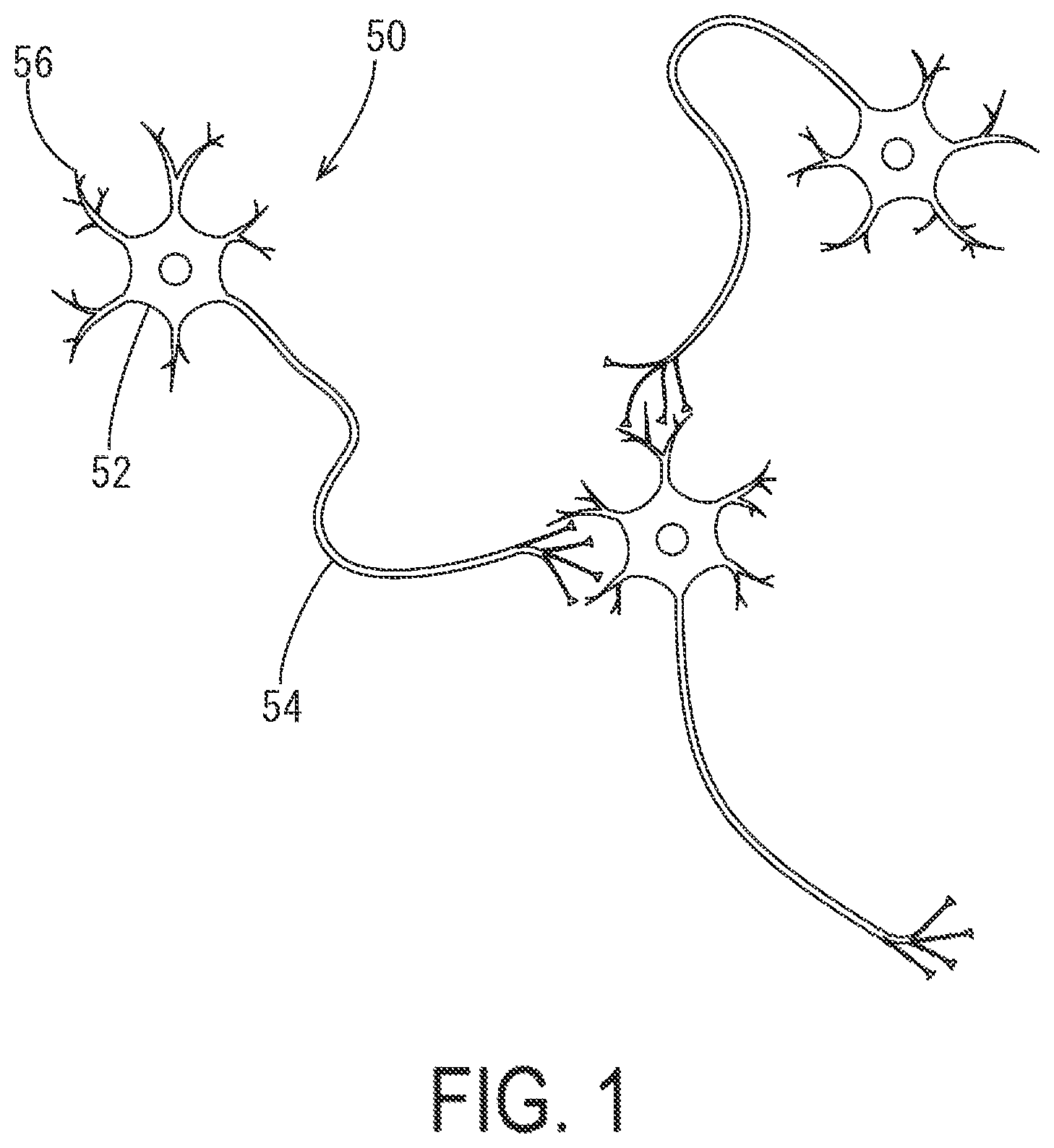 Patent US12590282 Figure 1 – Cell culture apparatus