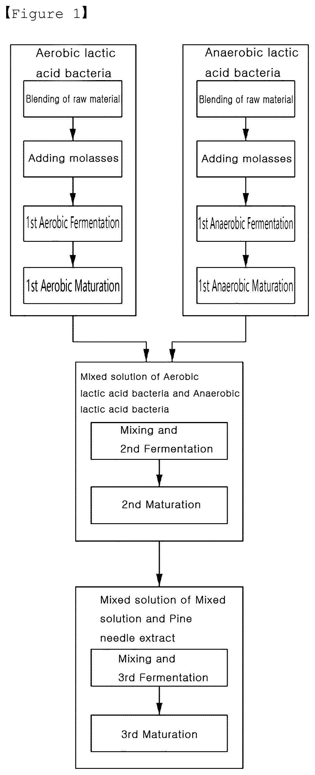 Patent US12590286 Figure 1 – Method for preparing agent for prevention of hair loss and promotion of hair regrowth through fusion fermentation of lactic acid bacteria