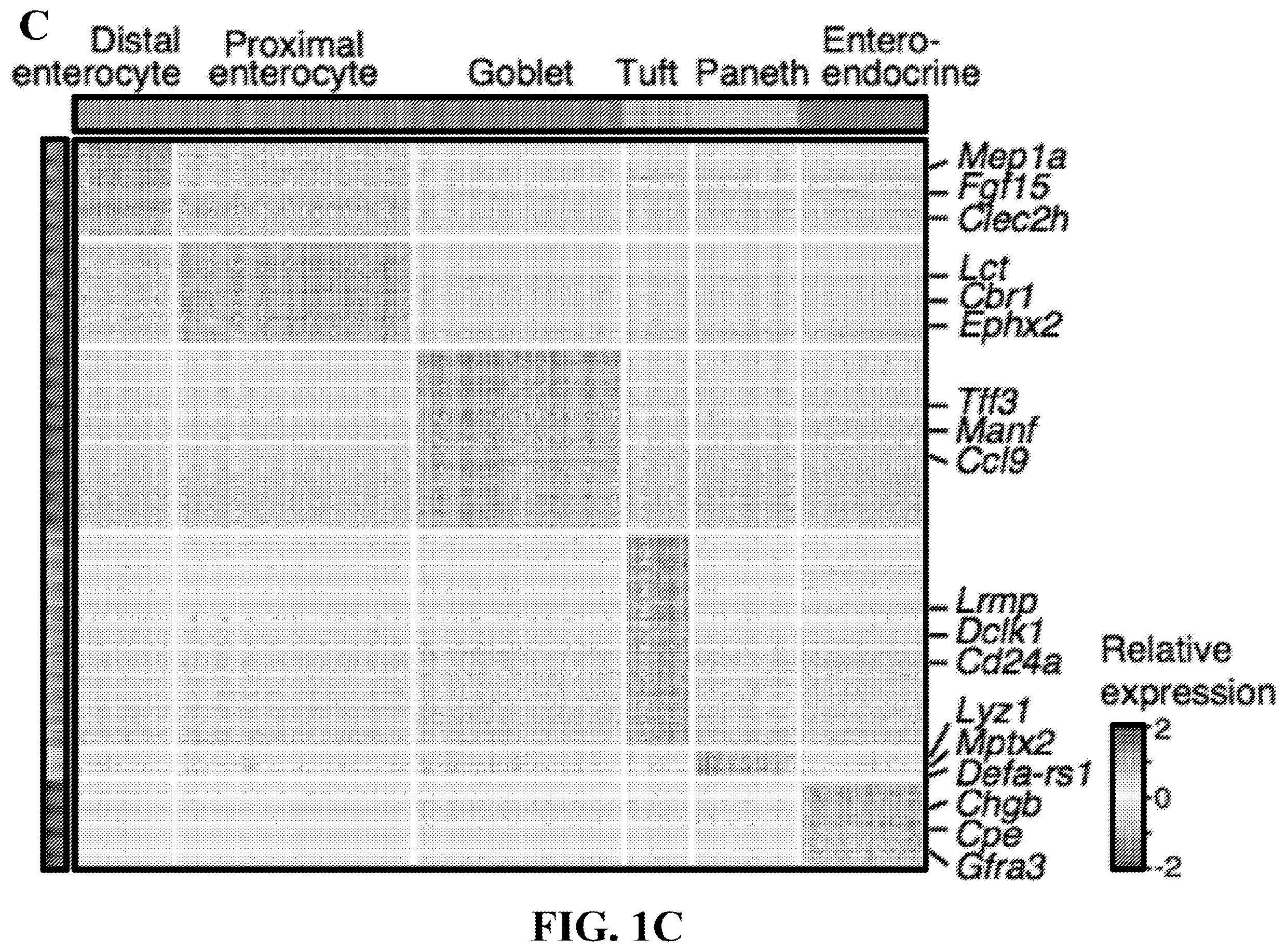 Patent US12590288 Figure 3 – Method of treating an inflammatory disease by administering an agent which binds a surface receptor on a tuft cell that induces an ILC class 2 inflammatory response
