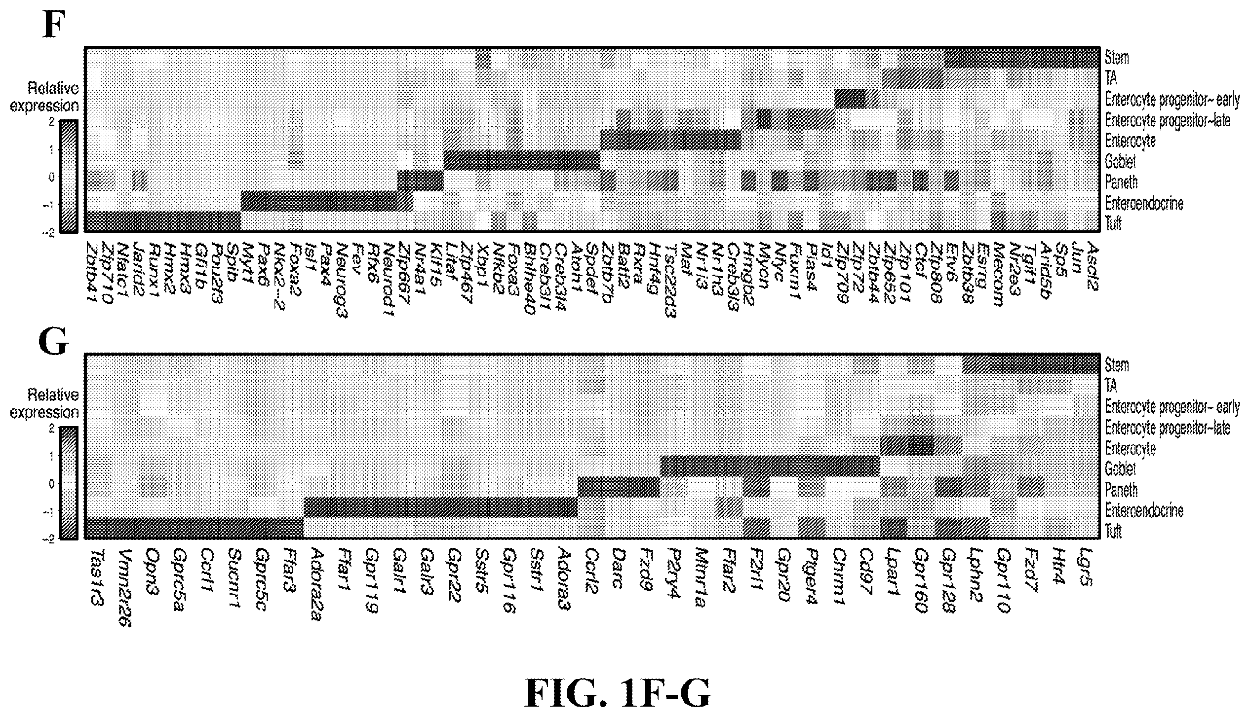 Patent US12590288 Figure 5 – Method of treating an inflammatory disease by administering an agent which binds a surface receptor on a tuft cell that induces an ILC class 2 inflammatory response