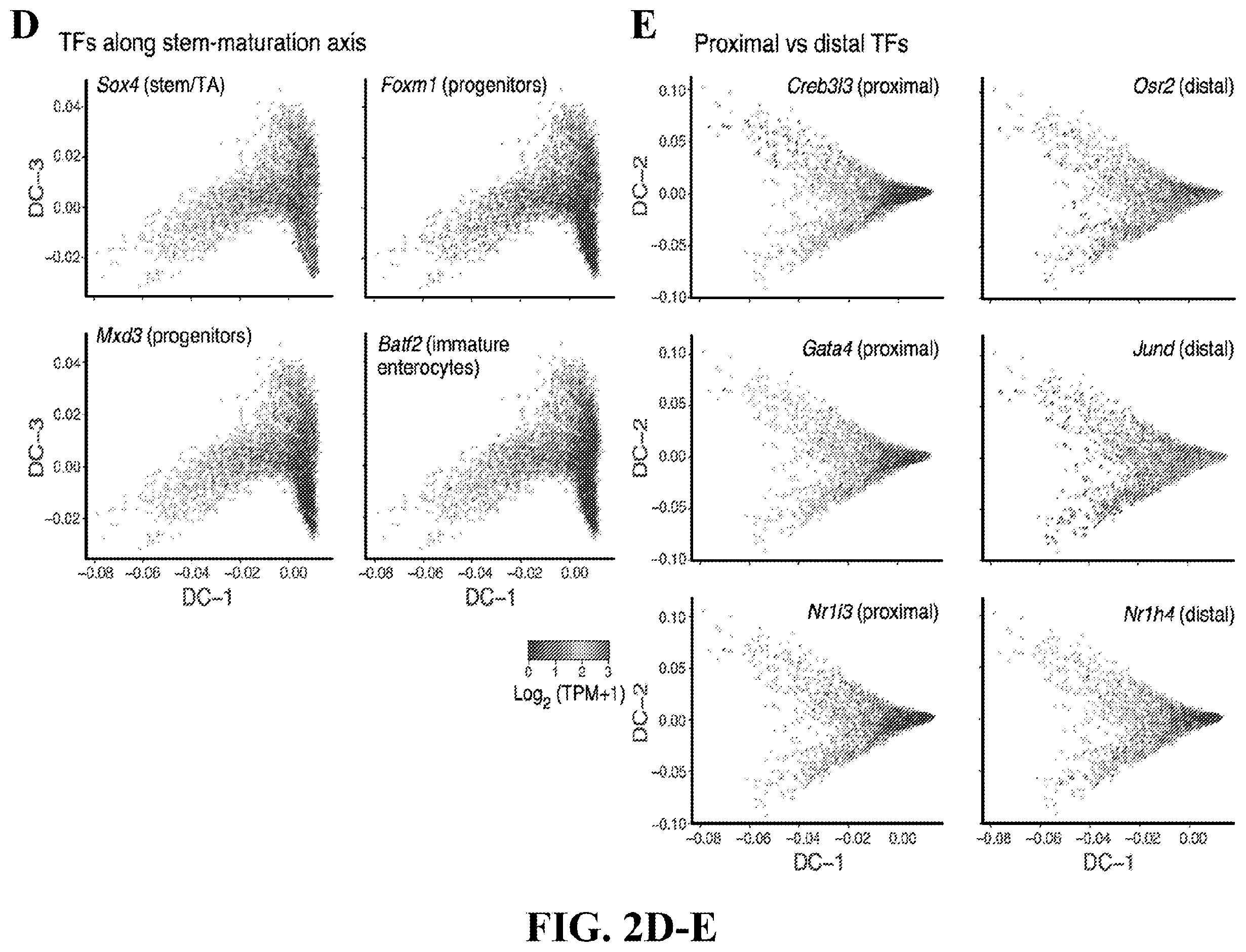 Patent US12590288 Figure 7 – Method of treating an inflammatory disease by administering an agent which binds a surface receptor on a tuft cell that induces an ILC class 2 inflammatory response