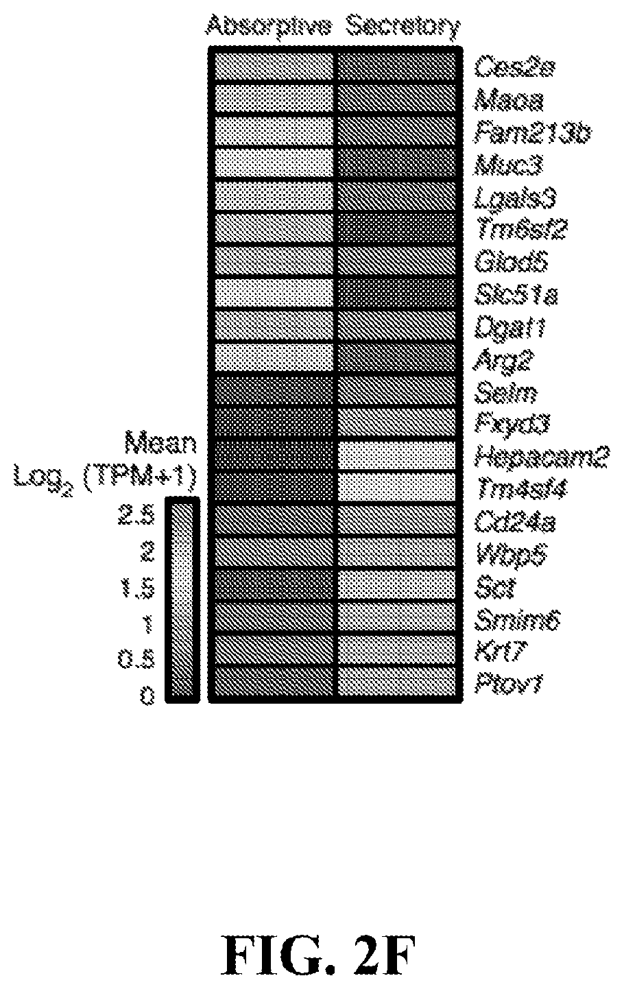 Patent US12590288 Figure 8 – Method of treating an inflammatory disease by administering an agent which binds a surface receptor on a tuft cell that induces an ILC class 2 inflammatory response