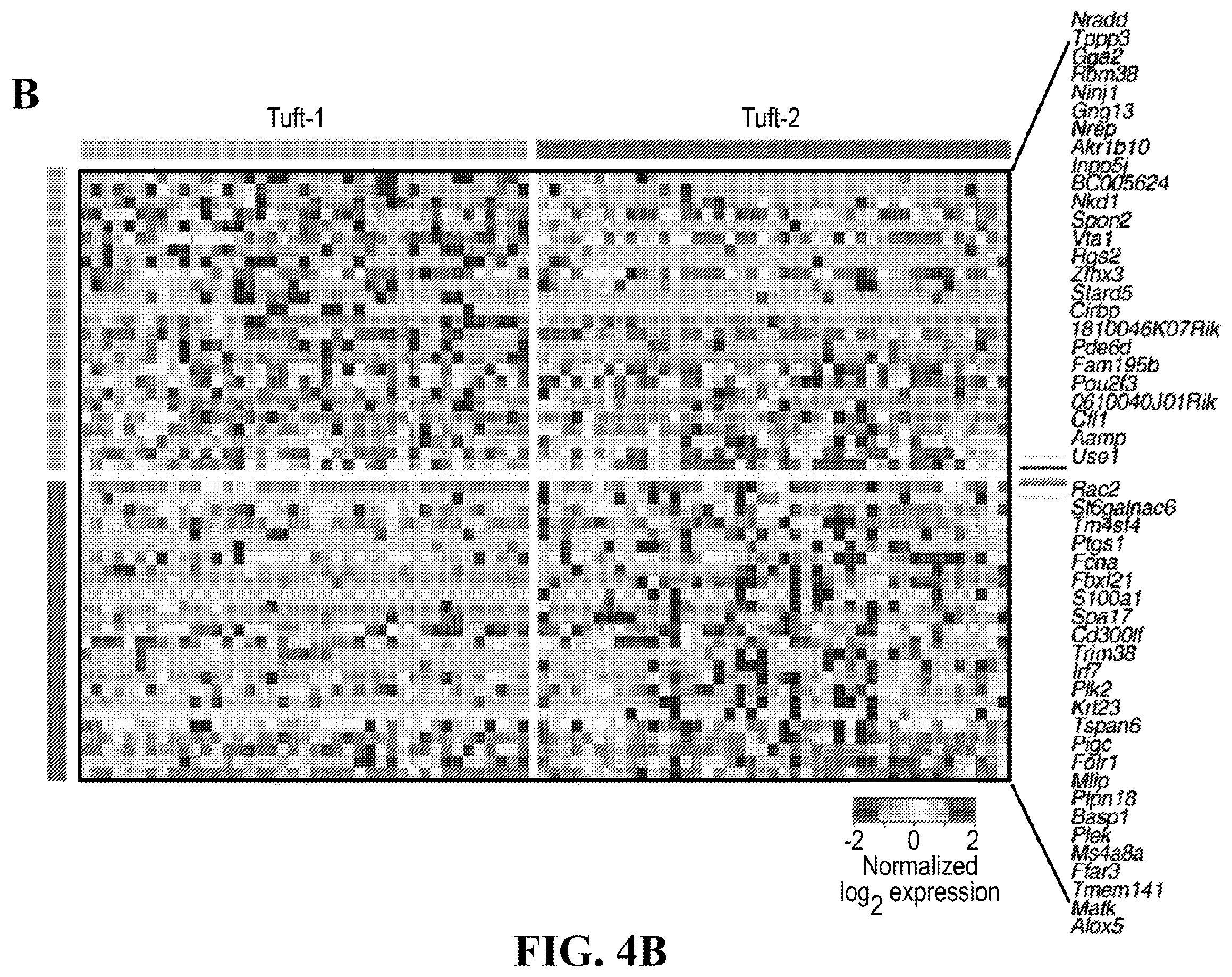 Patent US12590288 Figure 14 – Method of treating an inflammatory disease by administering an agent which binds a surface receptor on a tuft cell that induces an ILC class 2 inflammatory response
