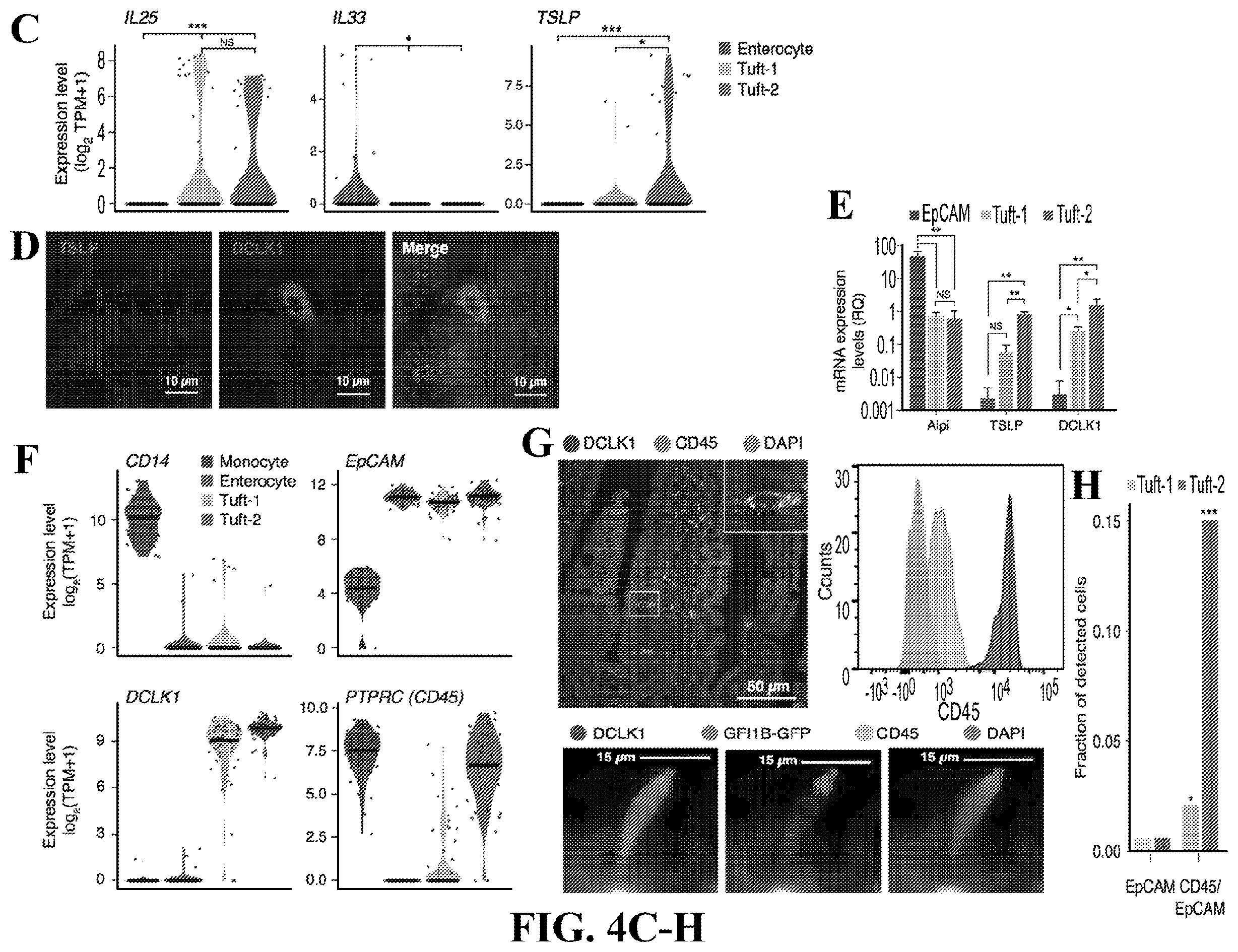 Patent US12590288 Figure 15 – Method of treating an inflammatory disease by administering an agent which binds a surface receptor on a tuft cell that induces an ILC class 2 inflammatory response