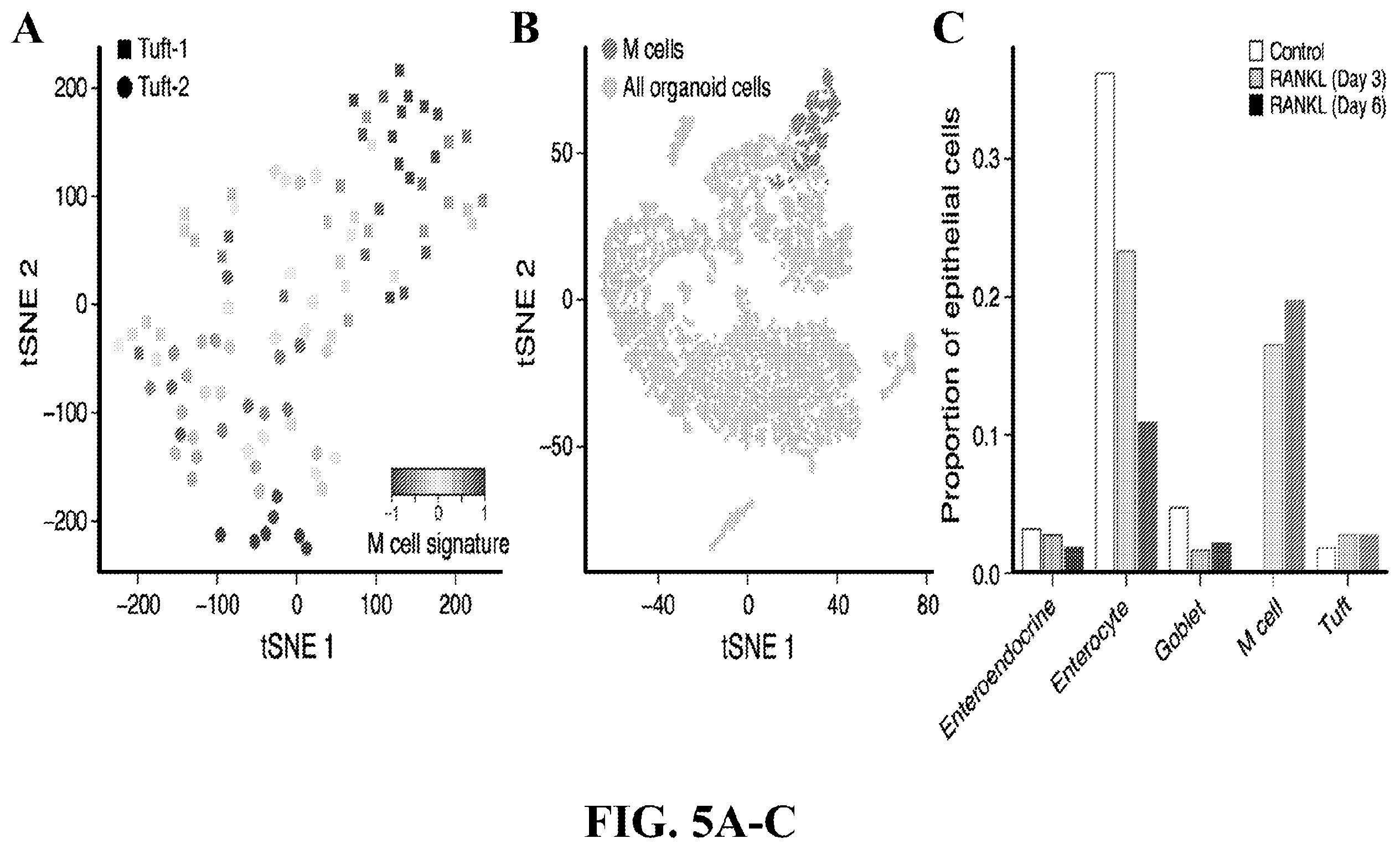 Patent US12590288 Figure 16 – Method of treating an inflammatory disease by administering an agent which binds a surface receptor on a tuft cell that induces an ILC class 2 inflammatory response
