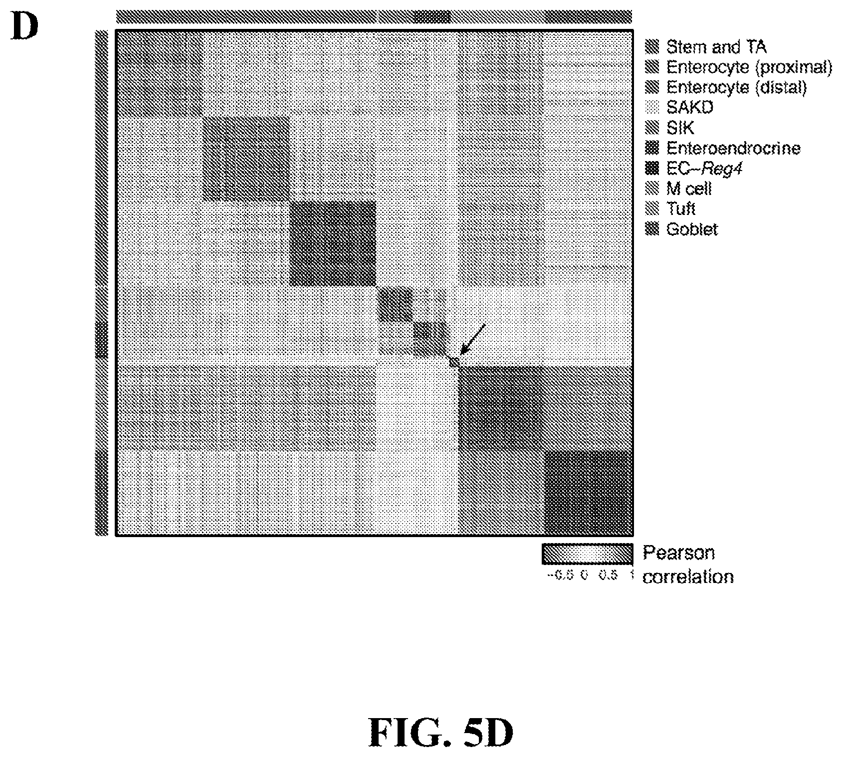Patent US12590288 Figure 17 – Method of treating an inflammatory disease by administering an agent which binds a surface receptor on a tuft cell that induces an ILC class 2 inflammatory response
