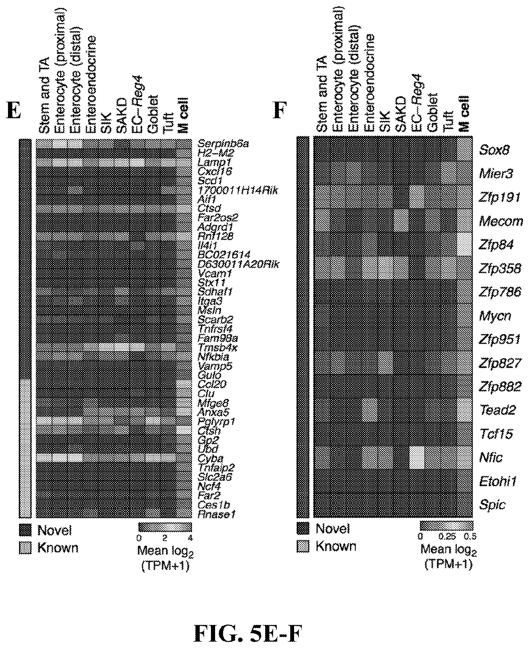 Patent US12590288 Figure 18 – Method of treating an inflammatory disease by administering an agent which binds a surface receptor on a tuft cell that induces an ILC class 2 inflammatory response