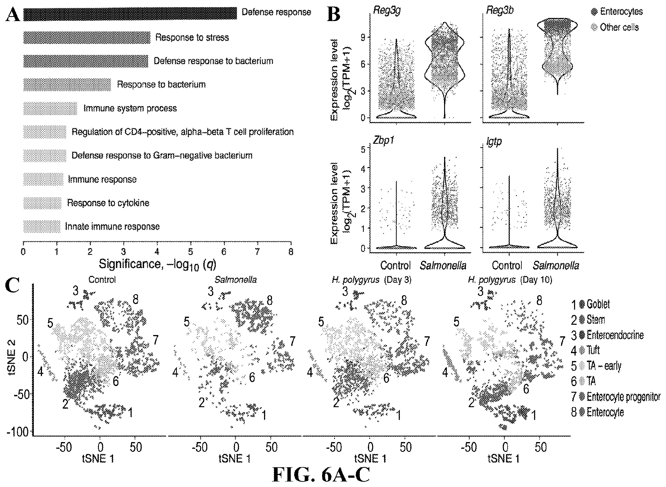 Patent US12590288 Figure 19 – Method of treating an inflammatory disease by administering an agent which binds a surface receptor on a tuft cell that induces an ILC class 2 inflammatory response
