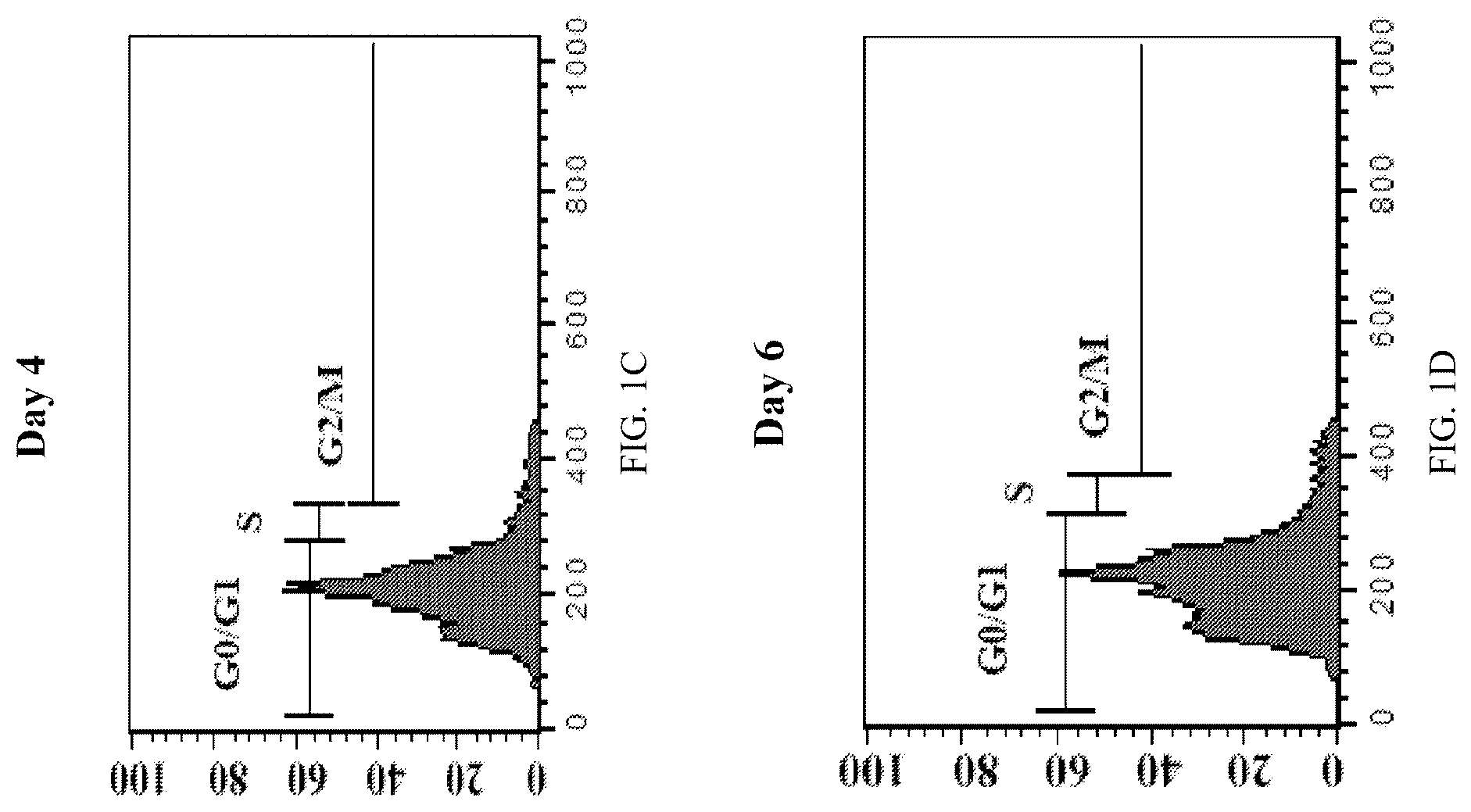 Patent US12590289 Figure 2 – Medium-based method realized for differentiation of dental stem cells into neurons