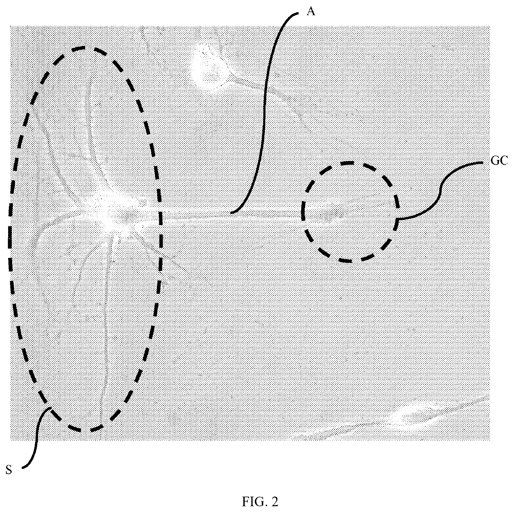 Patent US12590289 Figure 6 – Medium-based method realized for differentiation of dental stem cells into neurons