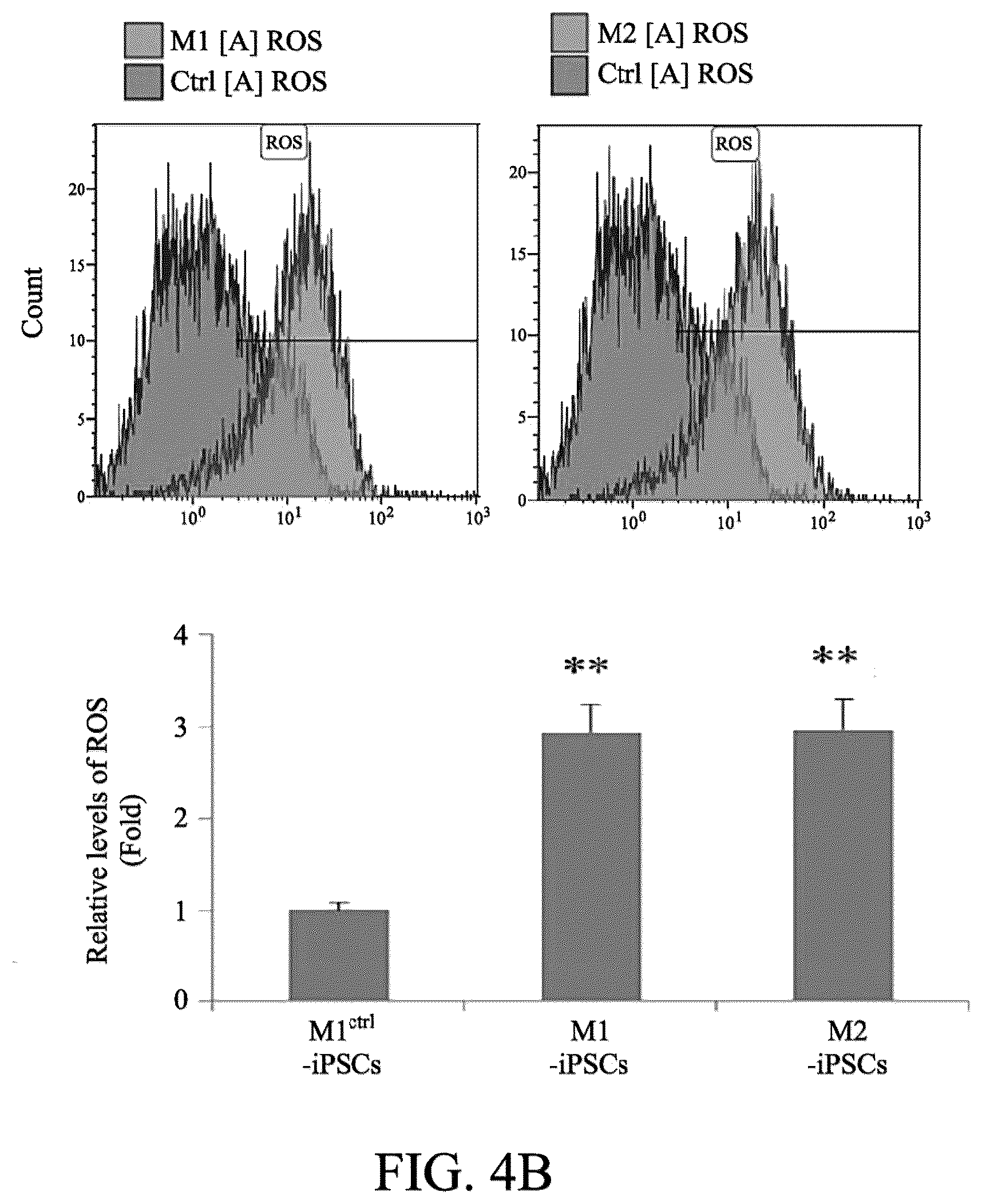 Patent US12590290 Figure 6 – Method for treating and modelling hearing loss