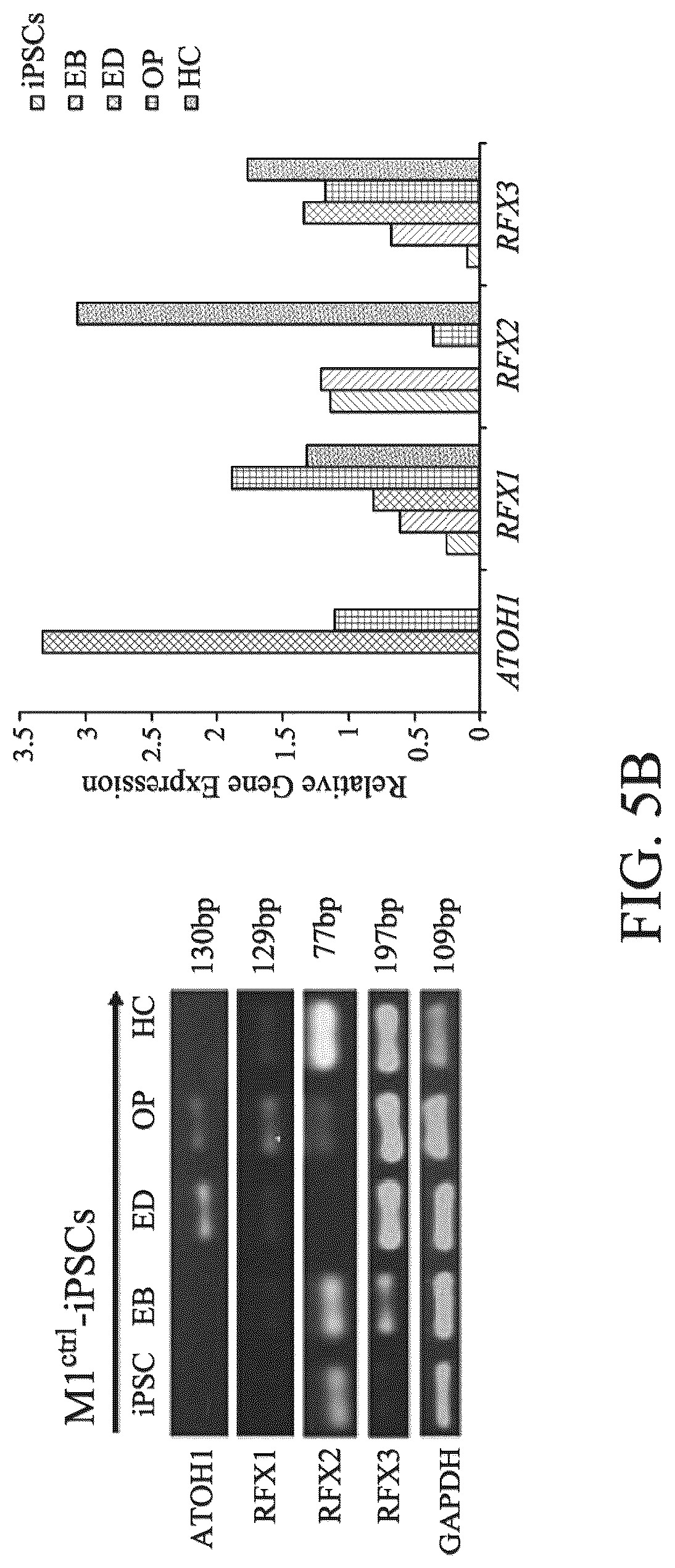 Patent US12590290 Figure 9 – Method for treating and modelling hearing loss