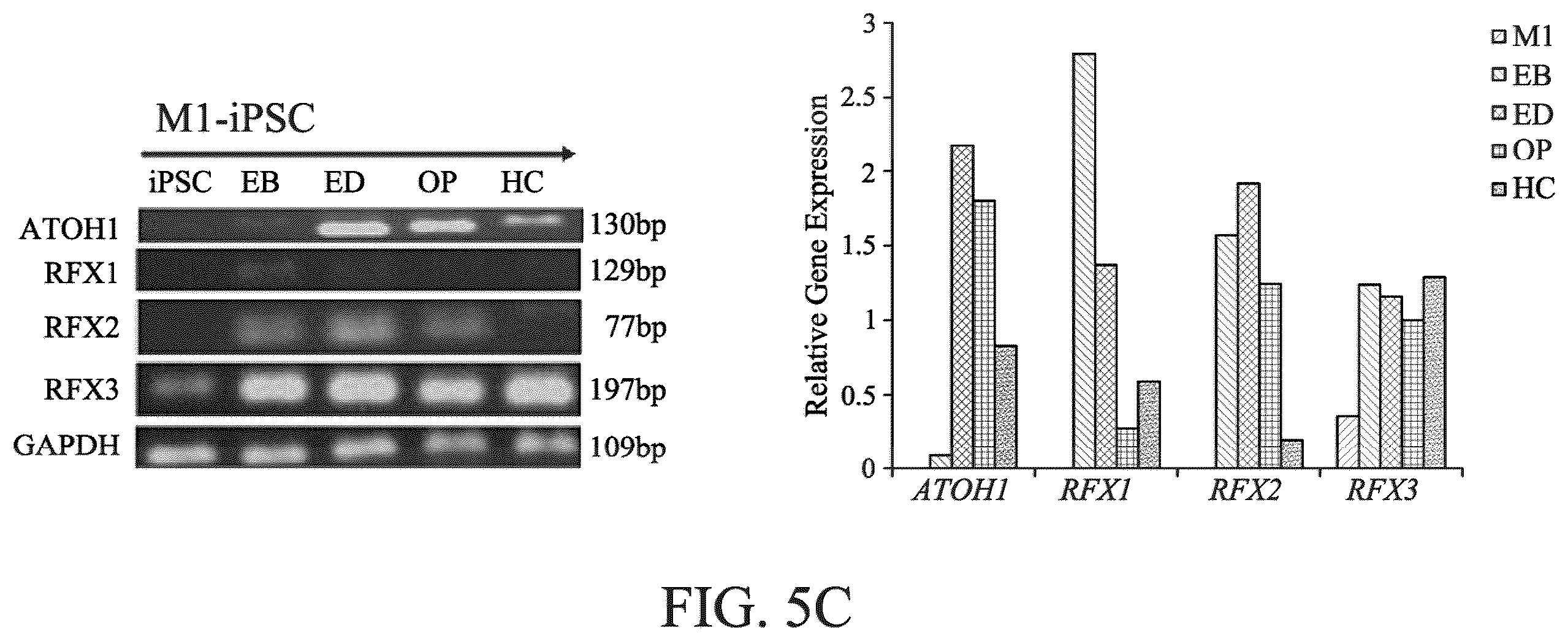 Patent US12590290 Figure 10 – Method for treating and modelling hearing loss