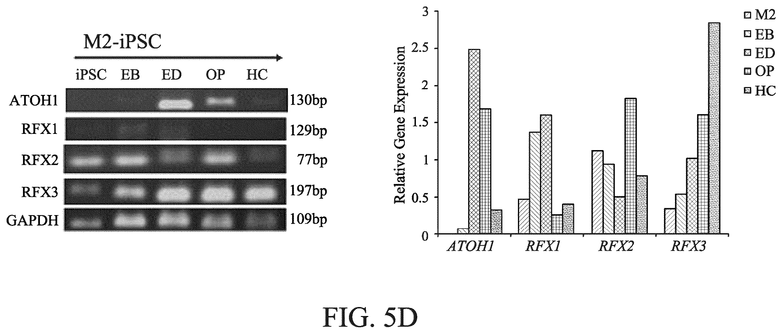 Patent US12590290 Figure 11 – Method for treating and modelling hearing loss