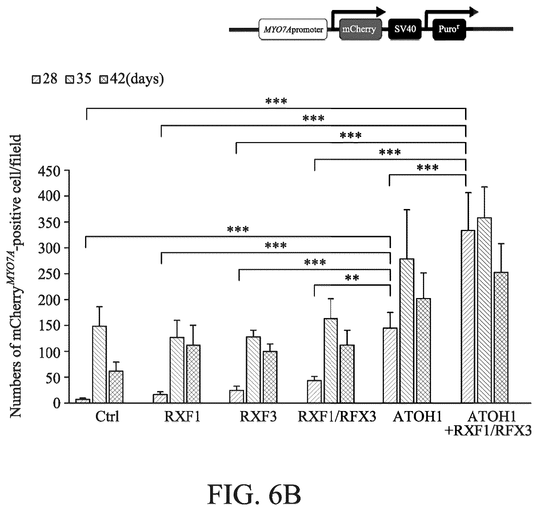 Patent US12590290 Figure 16 – Method for treating and modelling hearing loss
