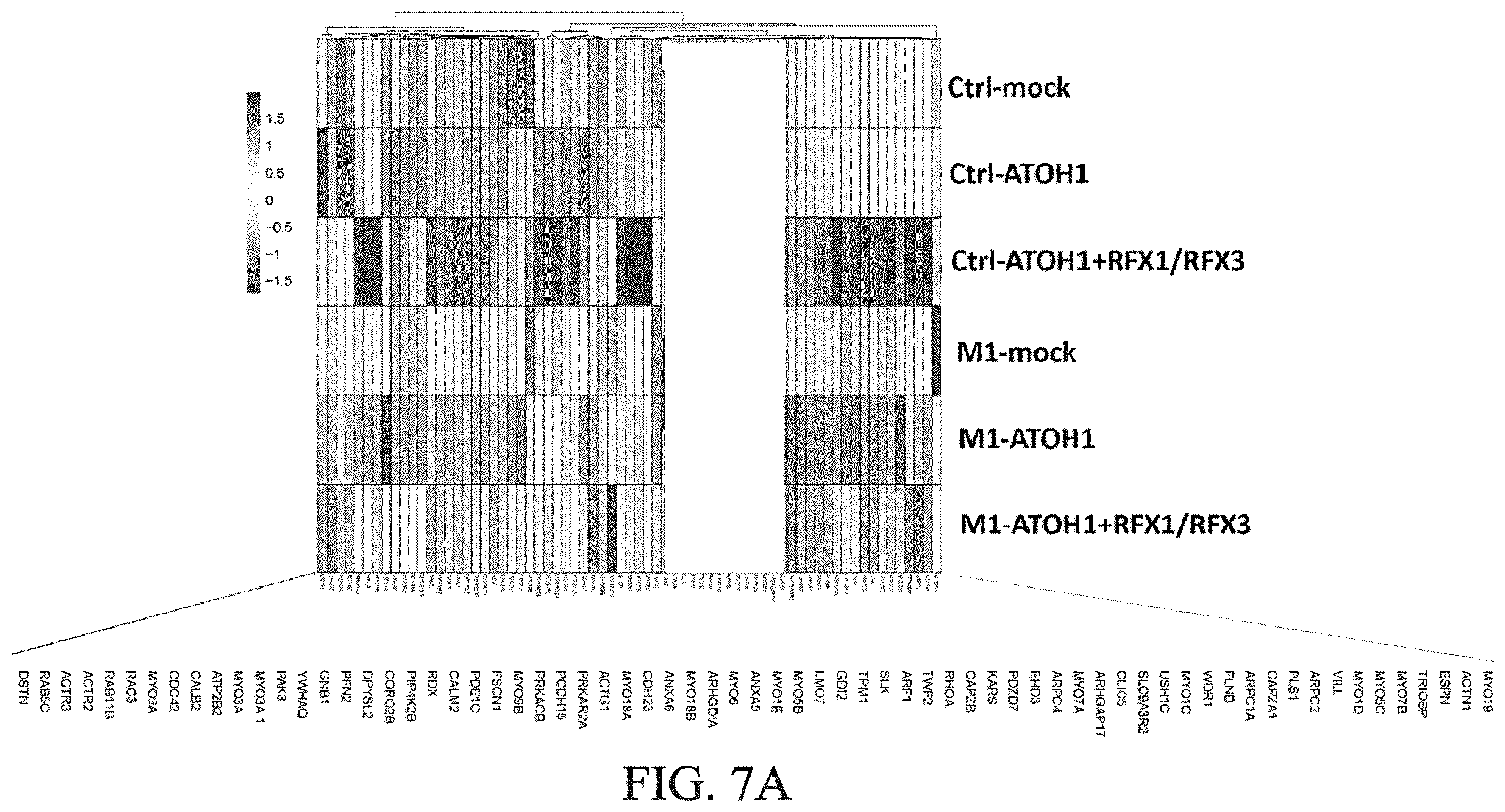 Patent US12590290 Figure 20 – Method for treating and modelling hearing loss