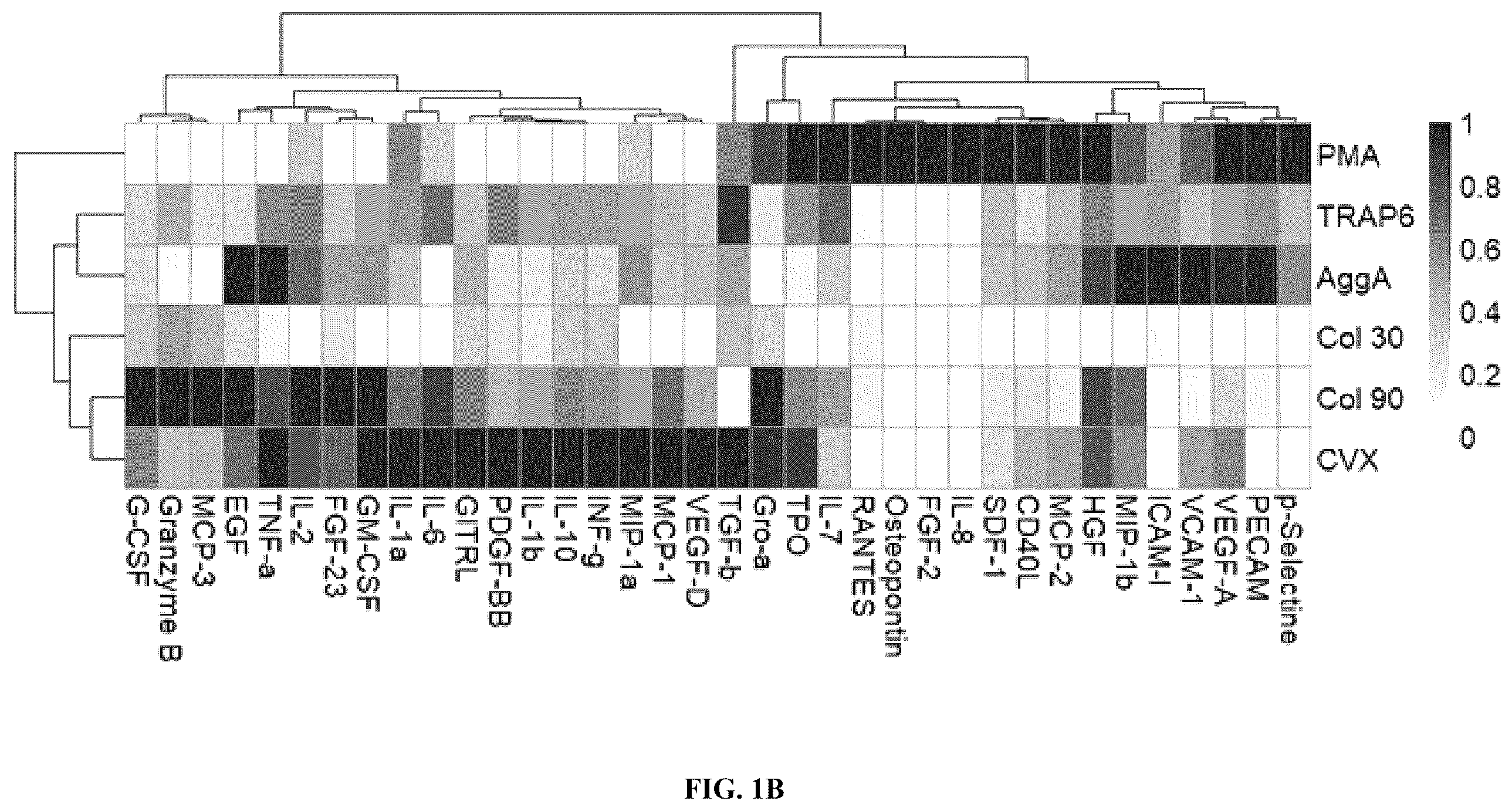 Patent US12590293 Figure 2 – Method for obtaining a platelet derived secretome and uses thereof