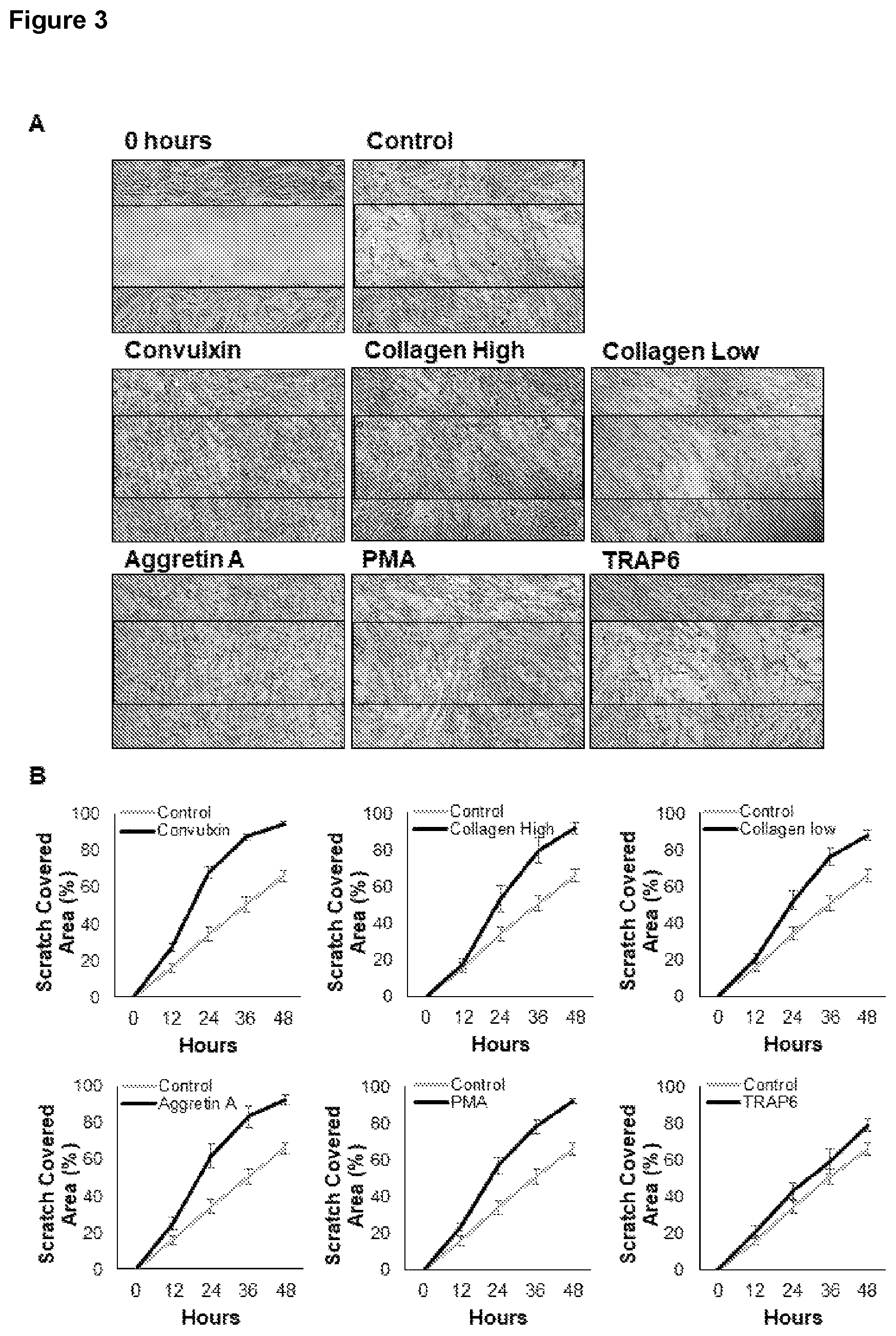 Patent US12590293 Figure 6 – Method for obtaining a platelet derived secretome and uses thereof