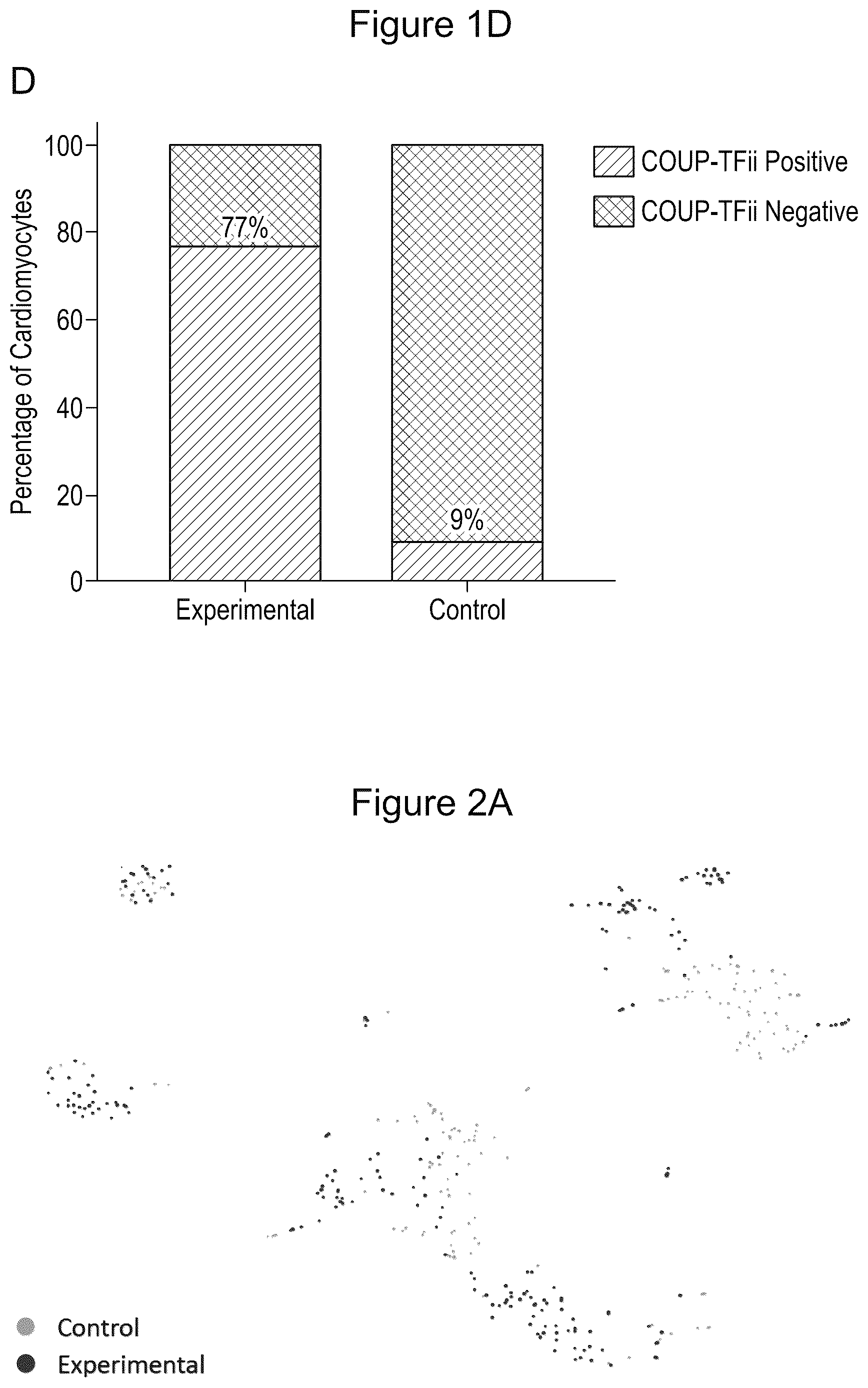 Patent US12590294 Figure 4 – Process for producing cardiomyocytes