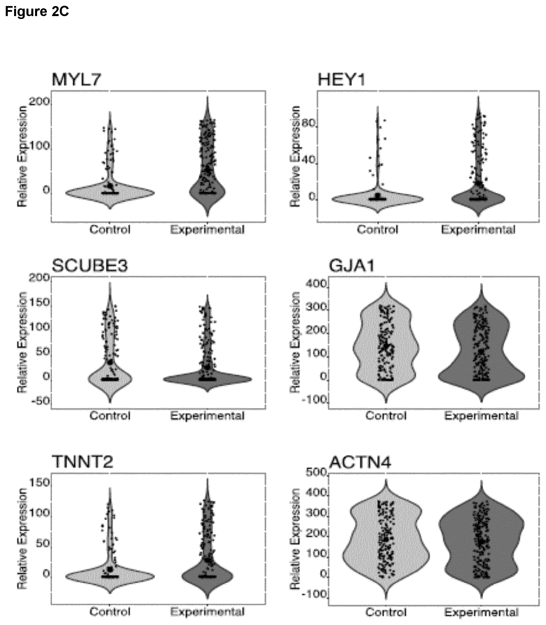 Patent US12590294 Figure 6 – Process for producing cardiomyocytes