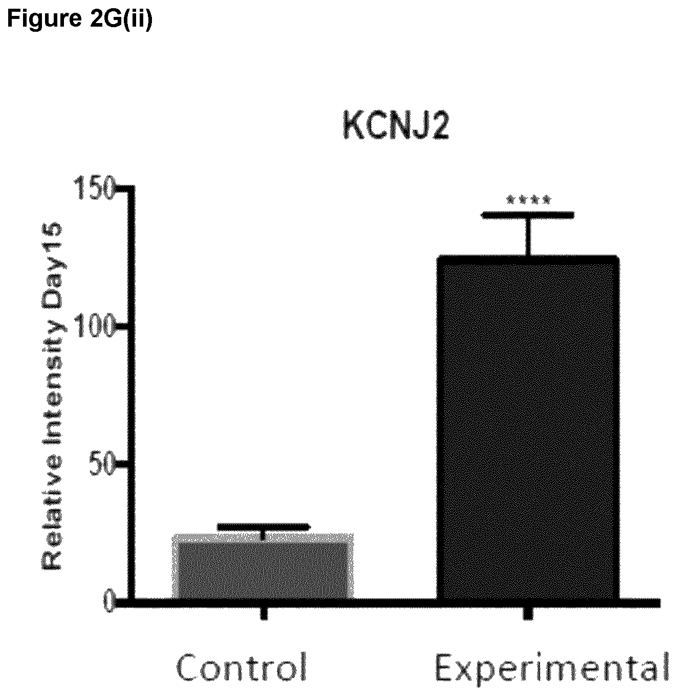 Patent US12590294 Figure 13 – Process for producing cardiomyocytes