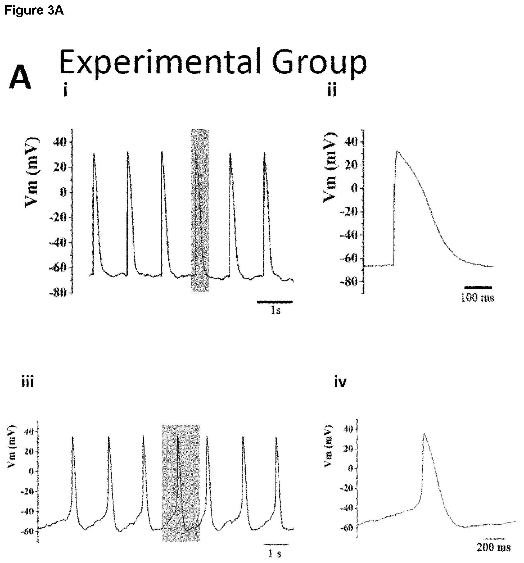 Patent US12590294 Figure 15 – Process for producing cardiomyocytes