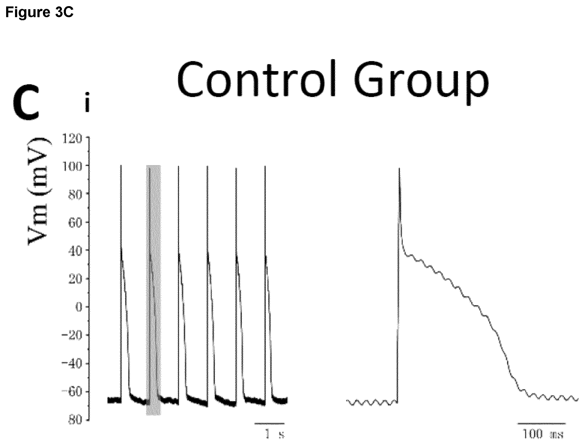 Patent US12590294 Figure 17 – Process for producing cardiomyocytes