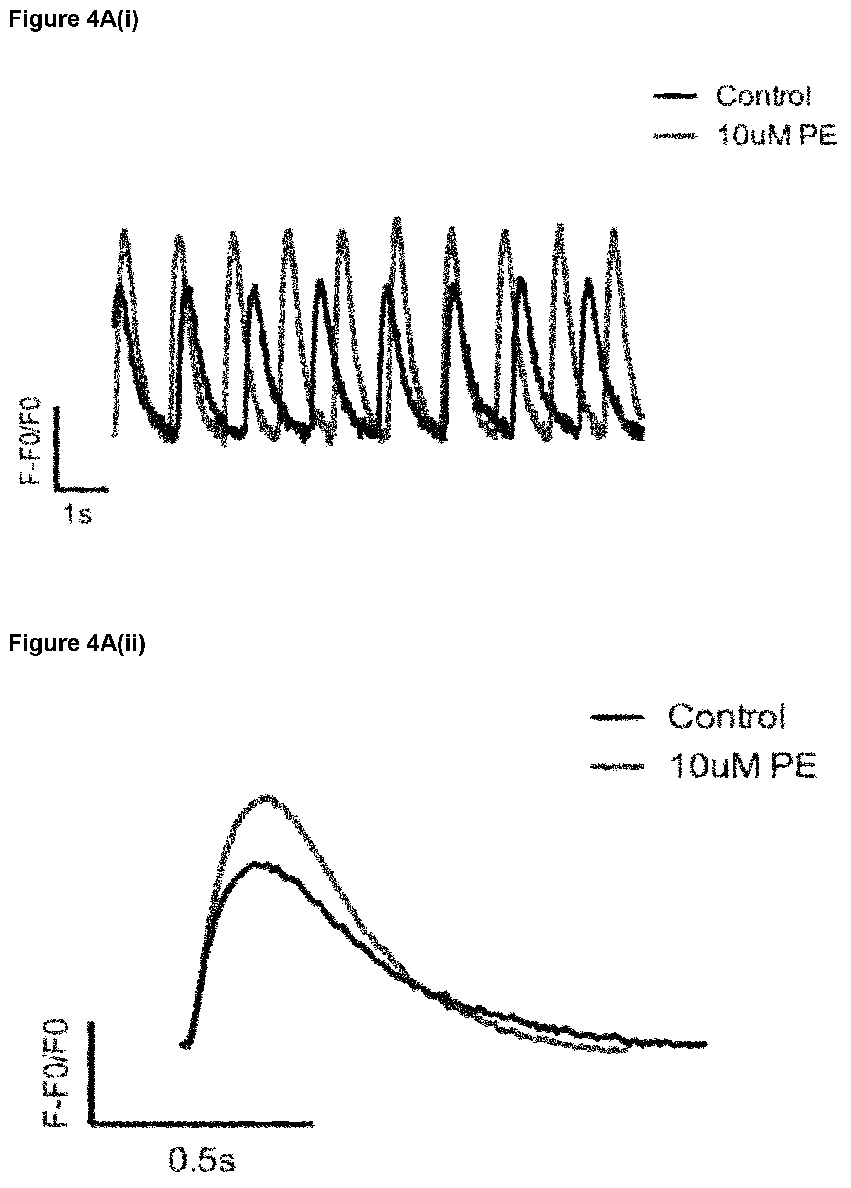 Patent US12590294 Figure 19 – Process for producing cardiomyocytes