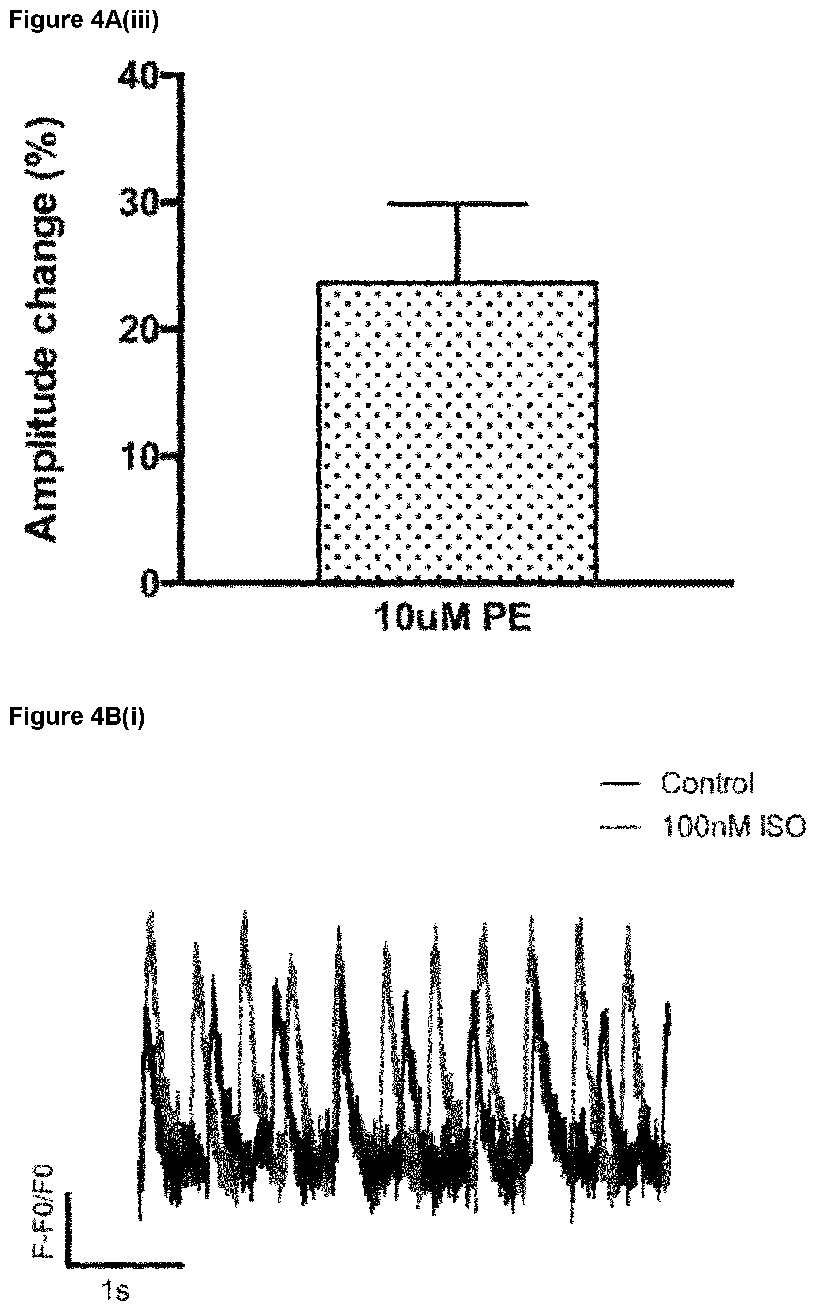 Patent US12590294 Figure 20 – Process for producing cardiomyocytes