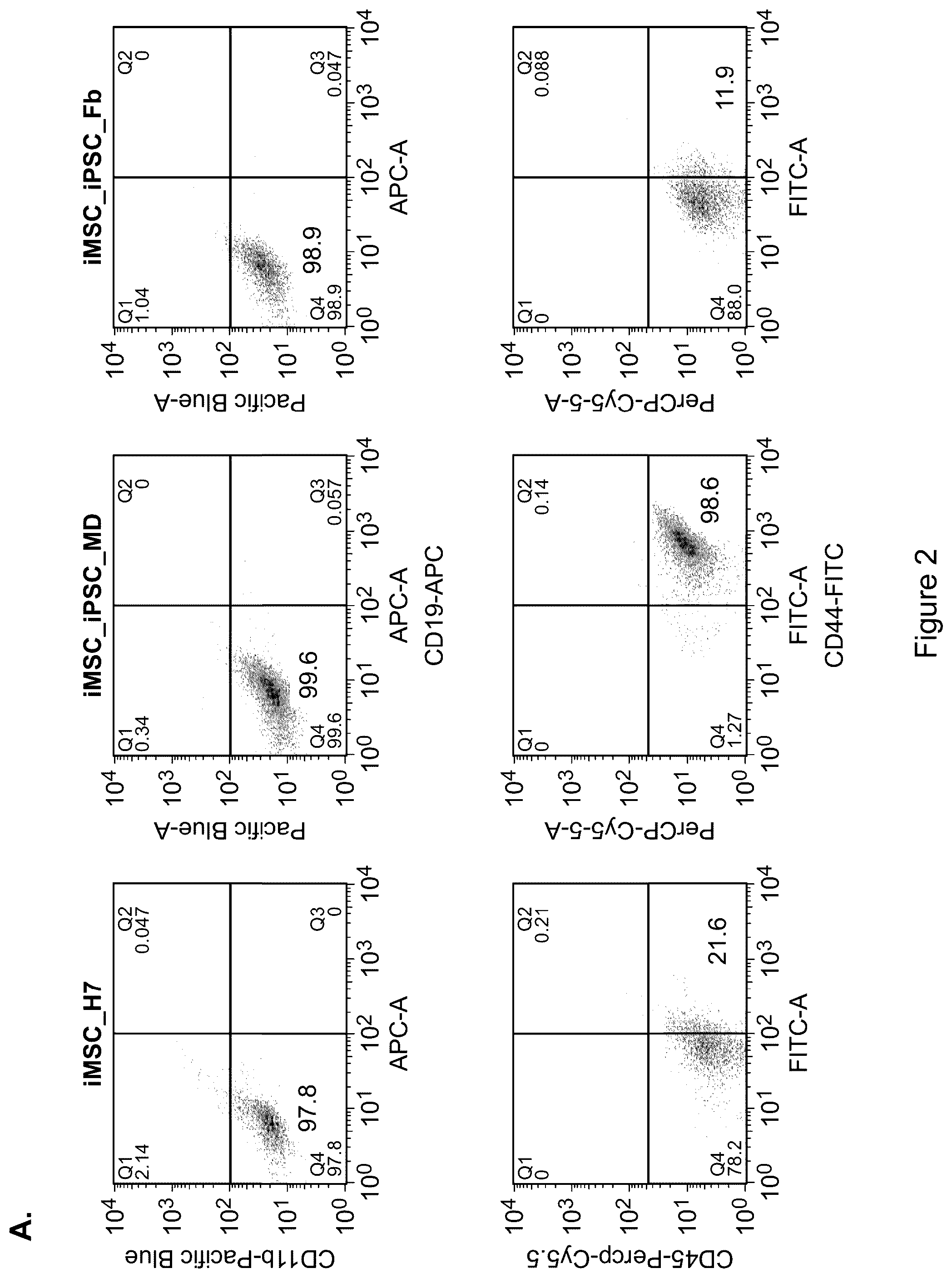 Patent US12590295 Figure 2 – Mesenchymal stromal cells as a reprogramming source for iPSC induction