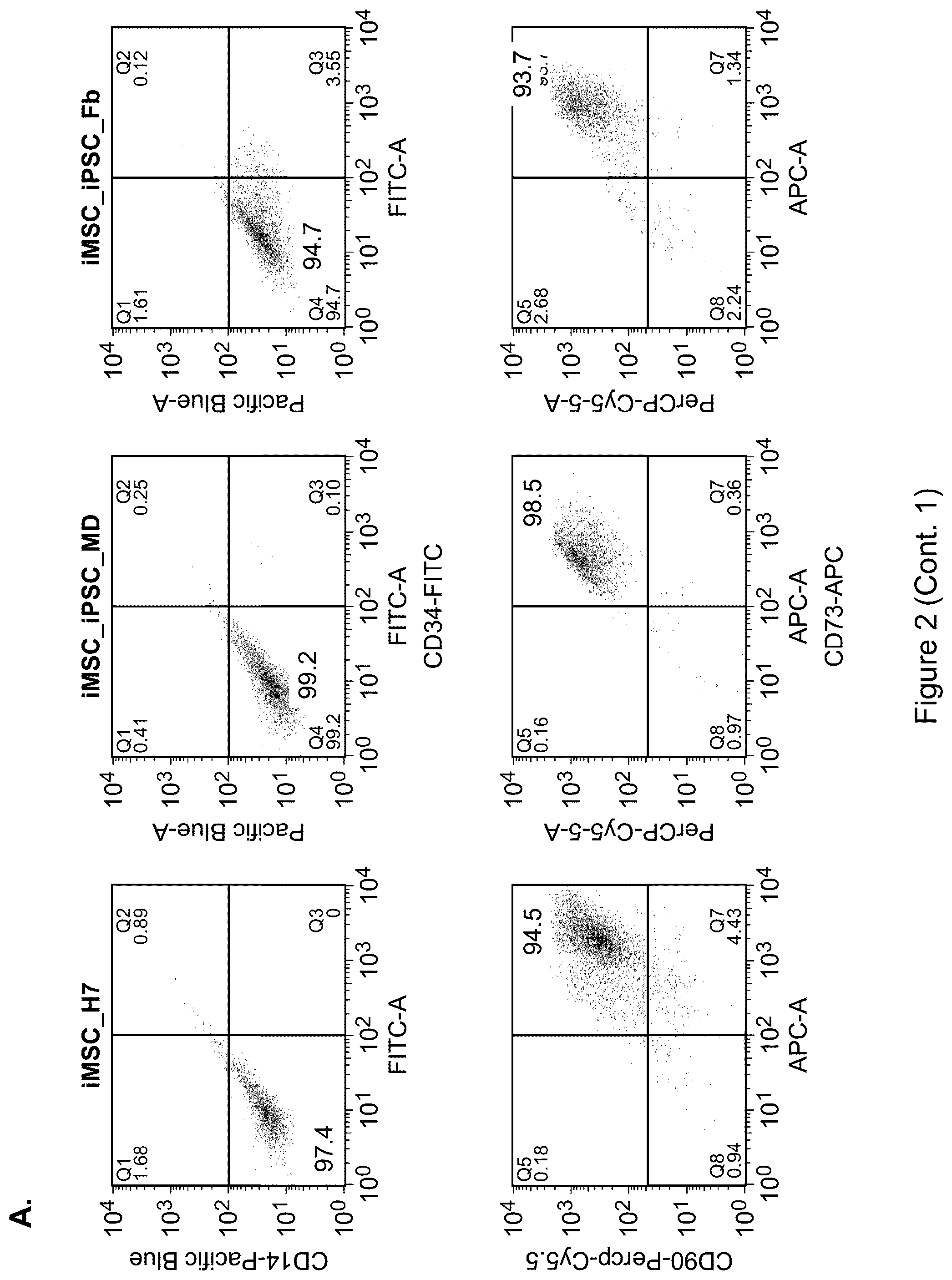 Patent US12590295 Figure 3 – Mesenchymal stromal cells as a reprogramming source for iPSC induction