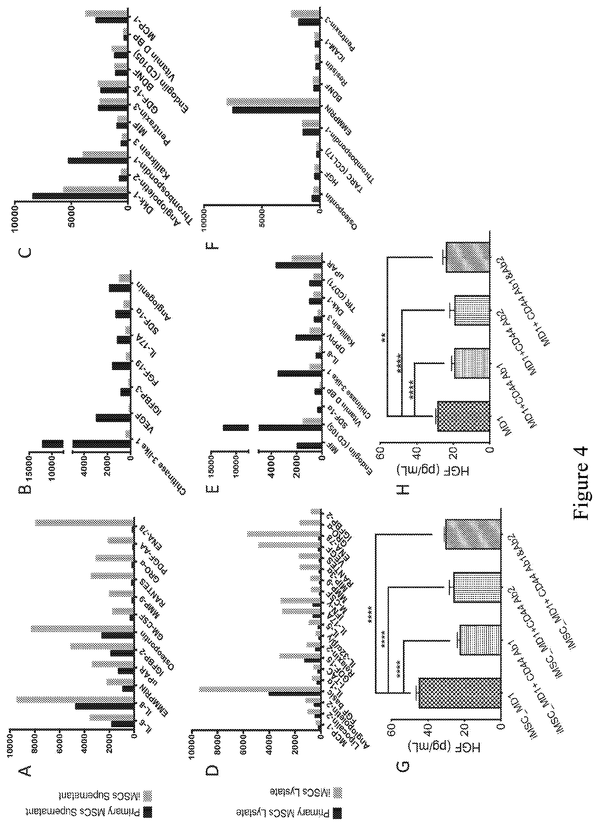 Patent US12590295 Figure 7 – Mesenchymal stromal cells as a reprogramming source for iPSC induction