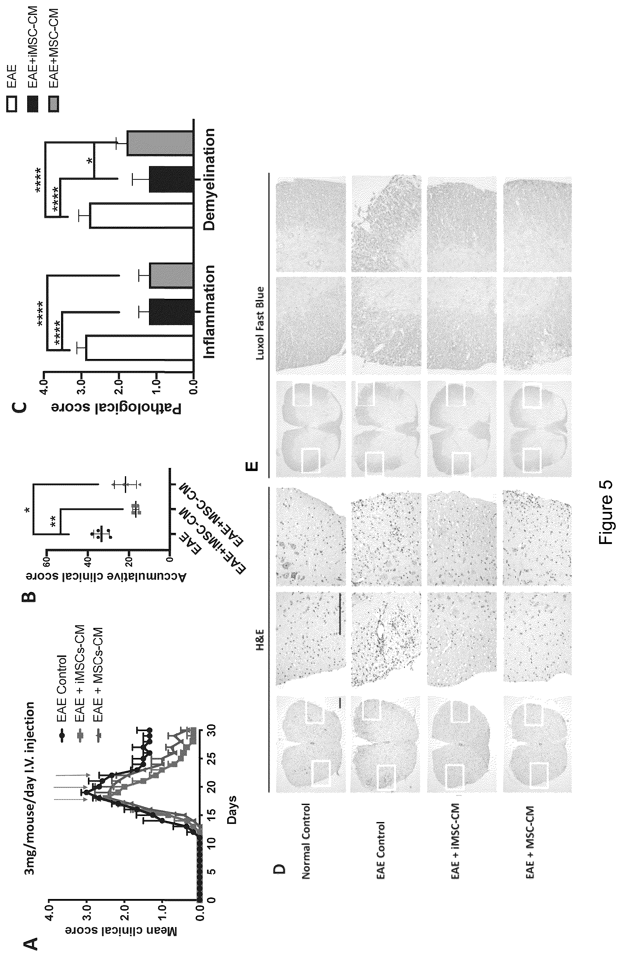 Patent US12590295 Figure 8 – Mesenchymal stromal cells as a reprogramming source for iPSC induction