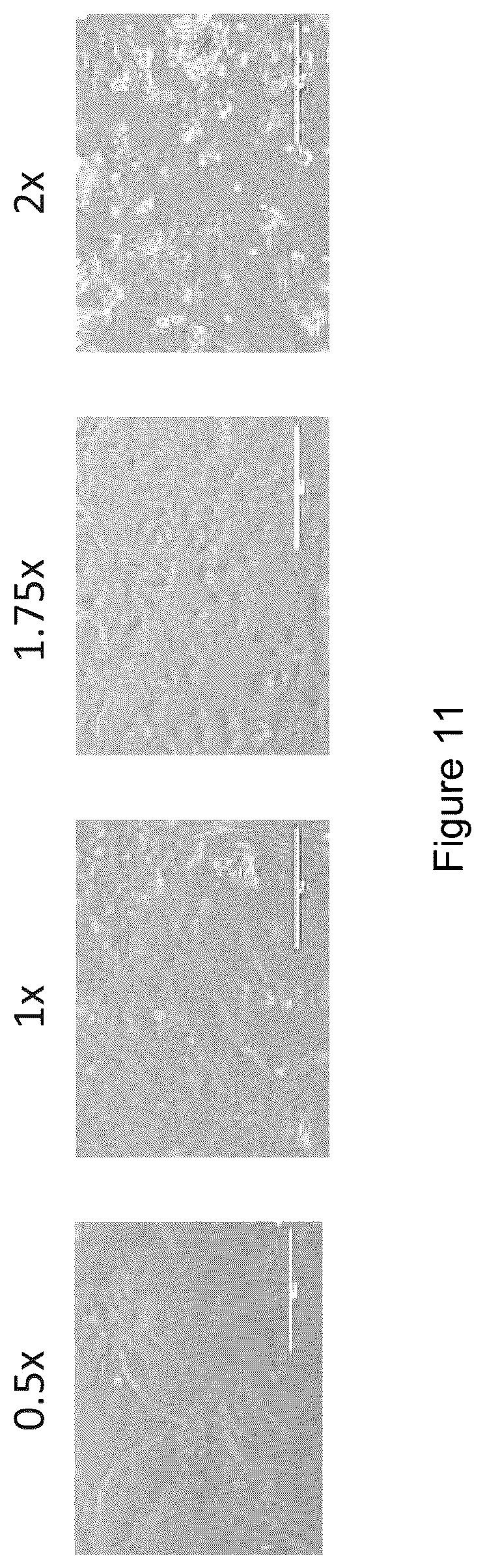 Patent US12590295 Figure 18 – Mesenchymal stromal cells as a reprogramming source for iPSC induction