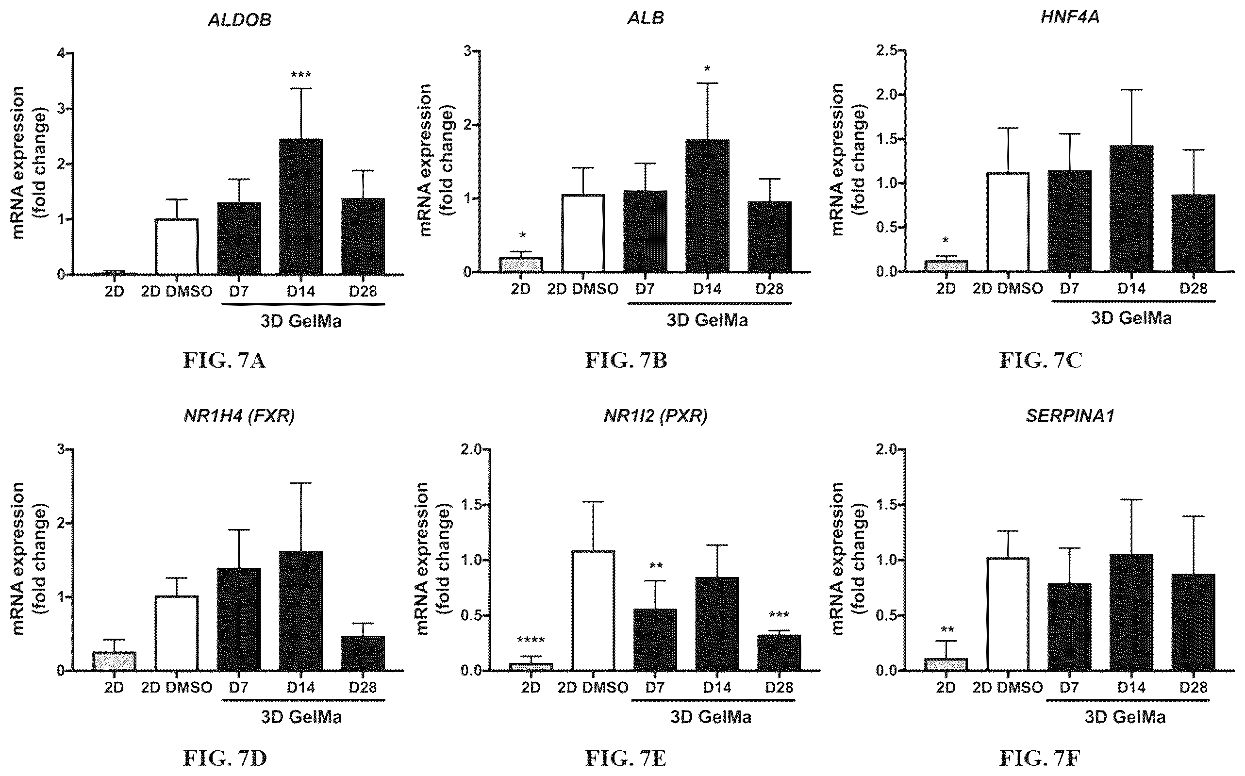 Patent US12590296 Figure 8 – Method of culturing immortalized human hepatic progenitors or cells
