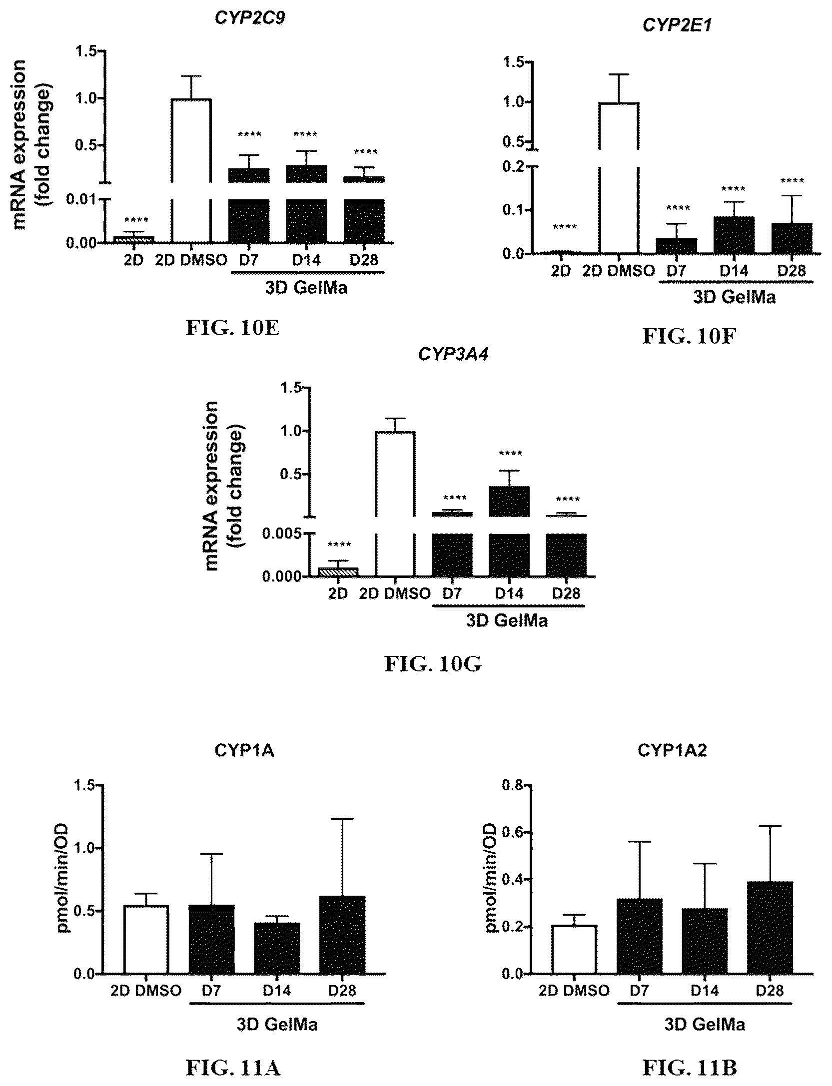 Patent US12590296 Figure 11 – Method of culturing immortalized human hepatic progenitors or cells