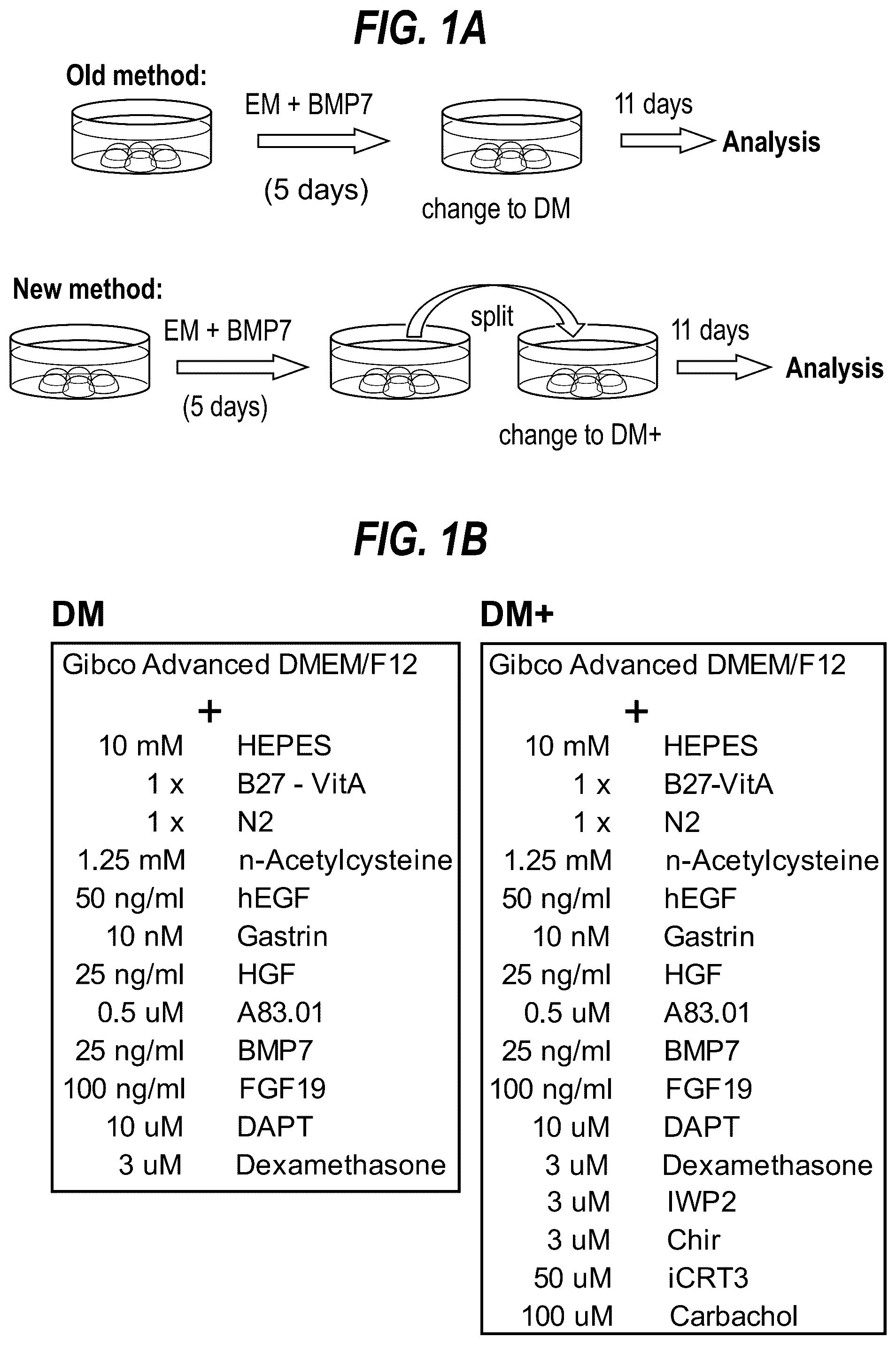 Patent US12590297 Figure 1 – Differentiation method