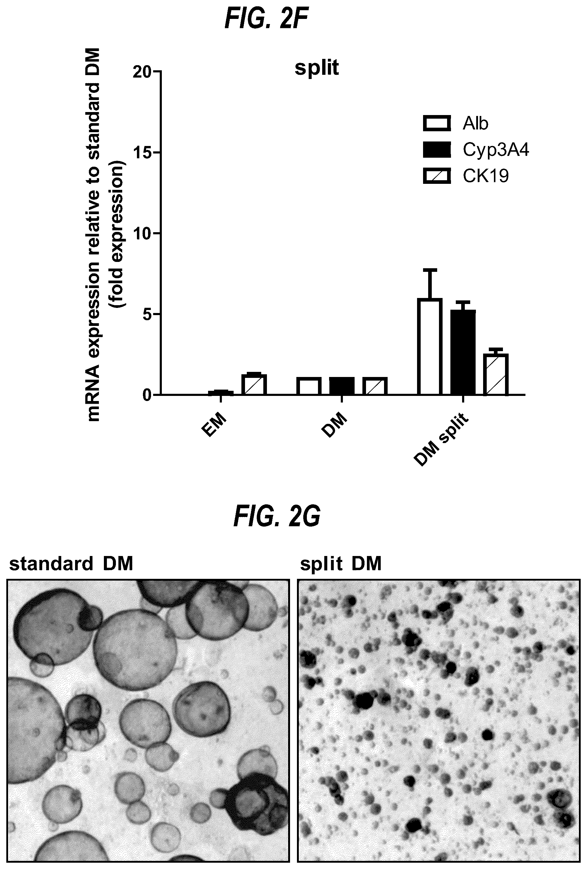 Patent US12590297 Figure 5 – Differentiation method
