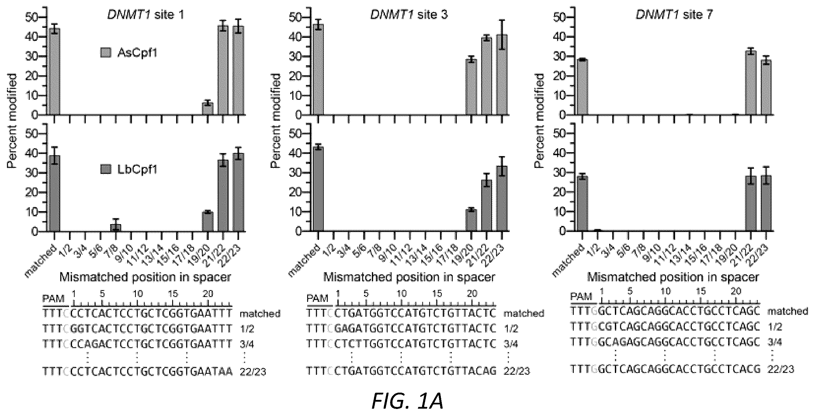 Patent US12590299 Figure 1 – Variants of CRISPR from Prevotella and Francisella 1 (Cpf1)