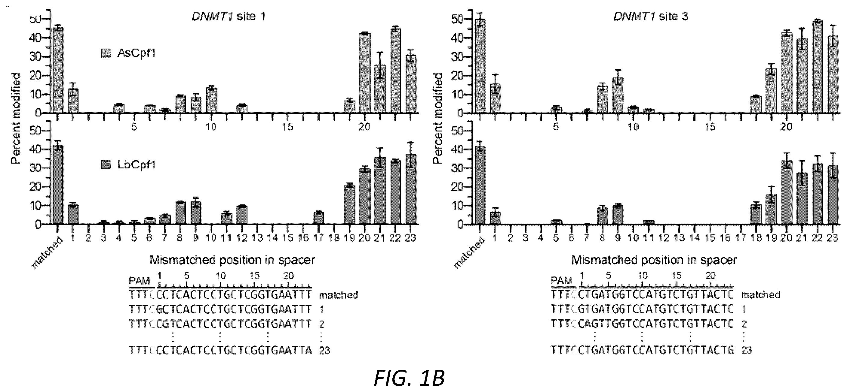 Patent US12590299 Figure 2 – Variants of CRISPR from Prevotella and Francisella 1 (Cpf1)