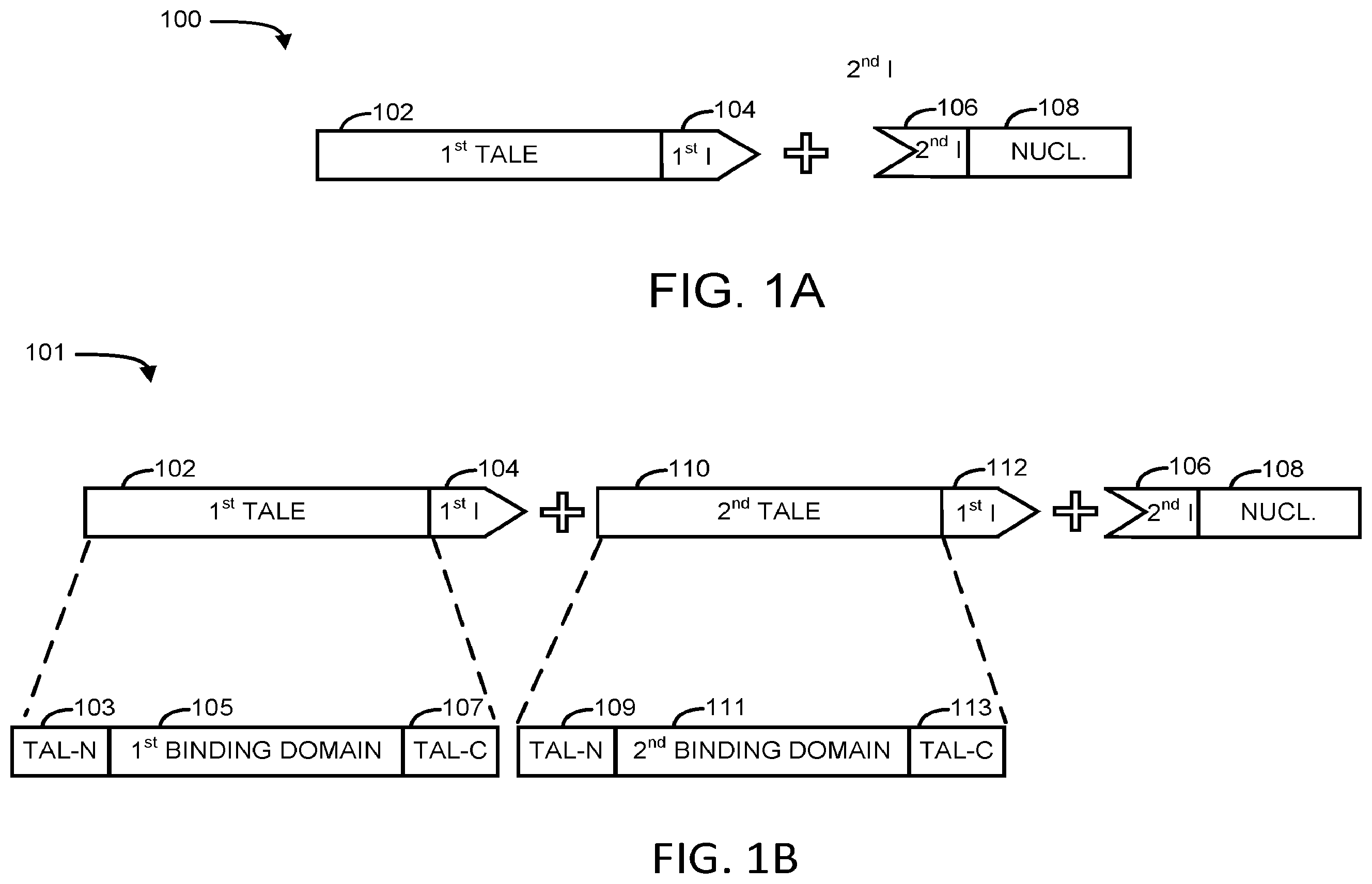 Patent US12590300 Figure 1 – Transcription activator-like effectors fused to inteins