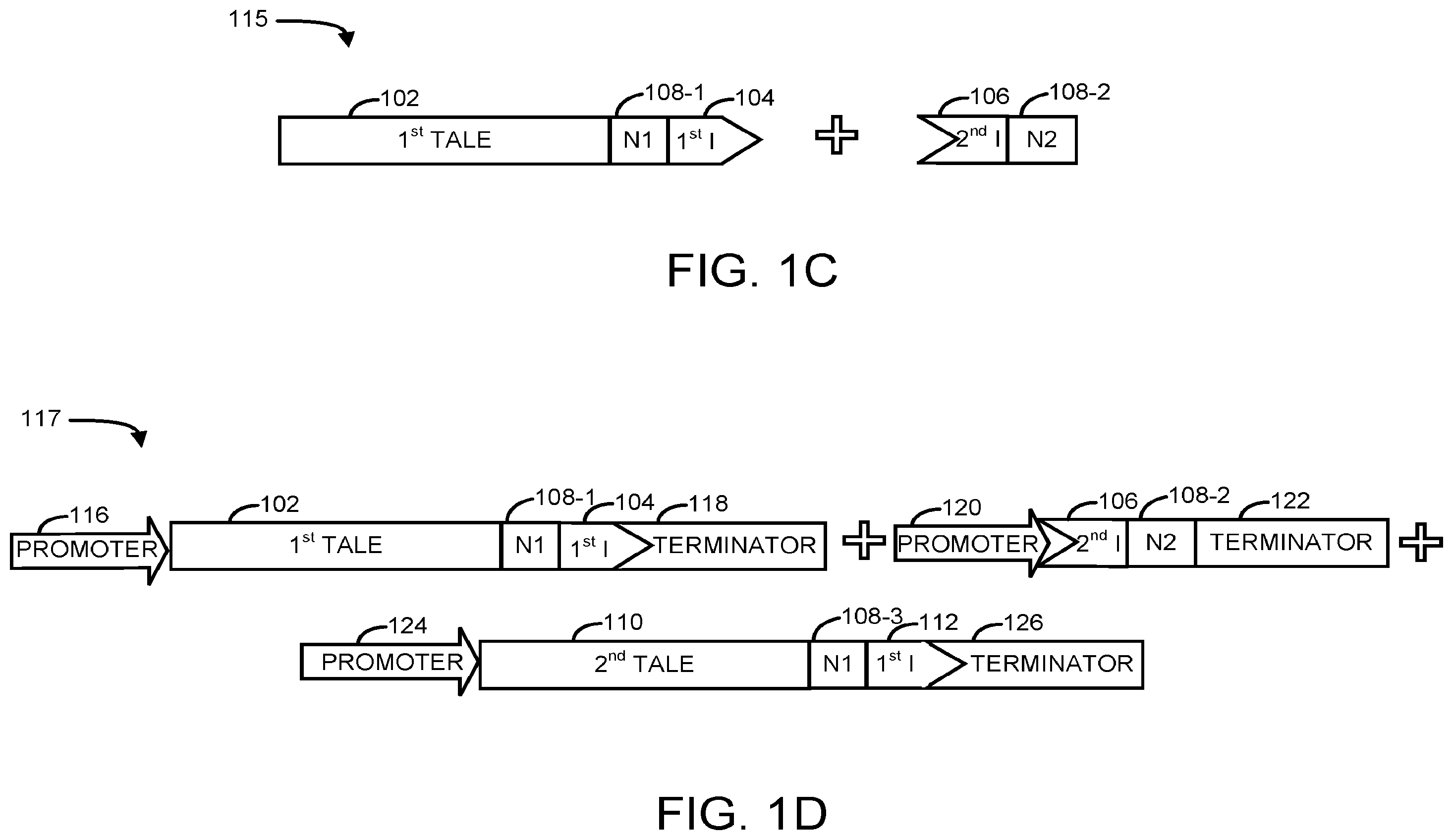 Patent US12590300 Figure 2 – Transcription activator-like effectors fused to inteins