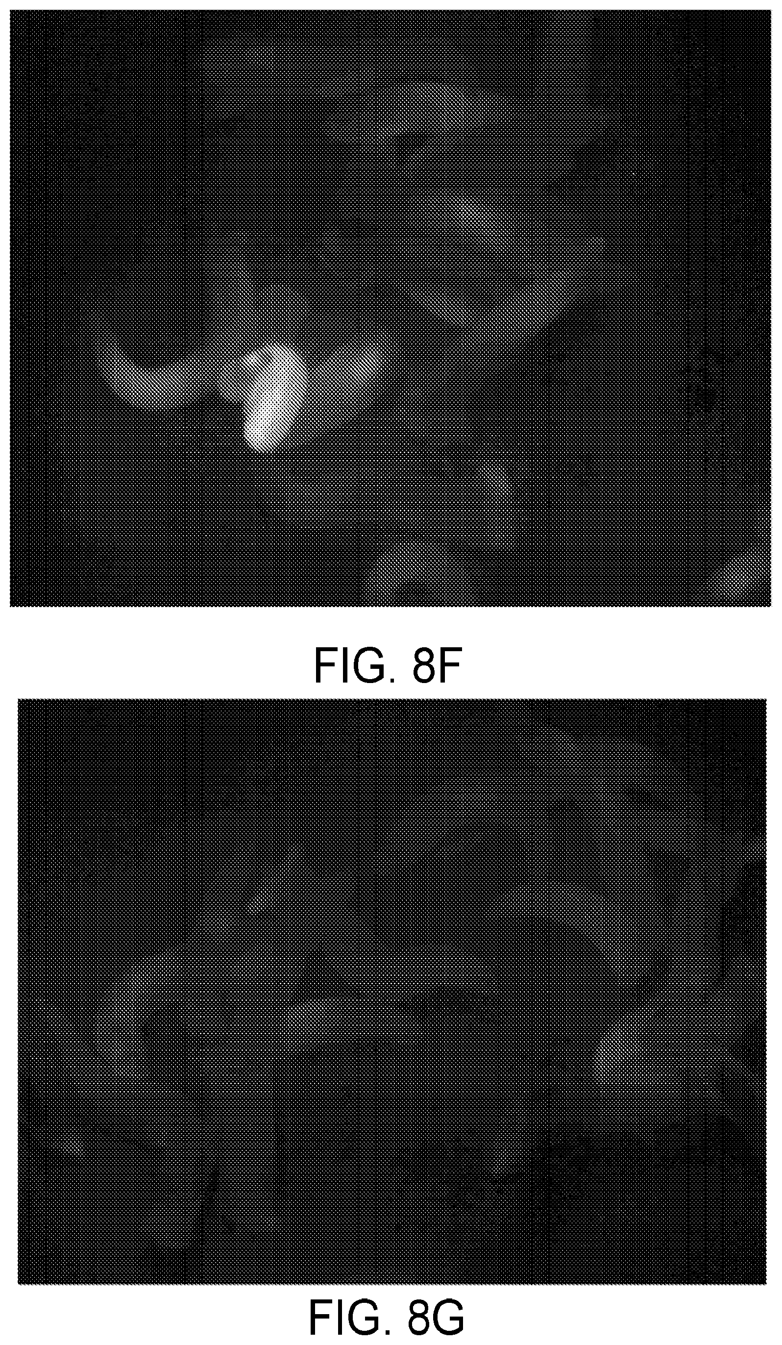 Patent US12590300 Figure 15 – Transcription activator-like effectors fused to inteins