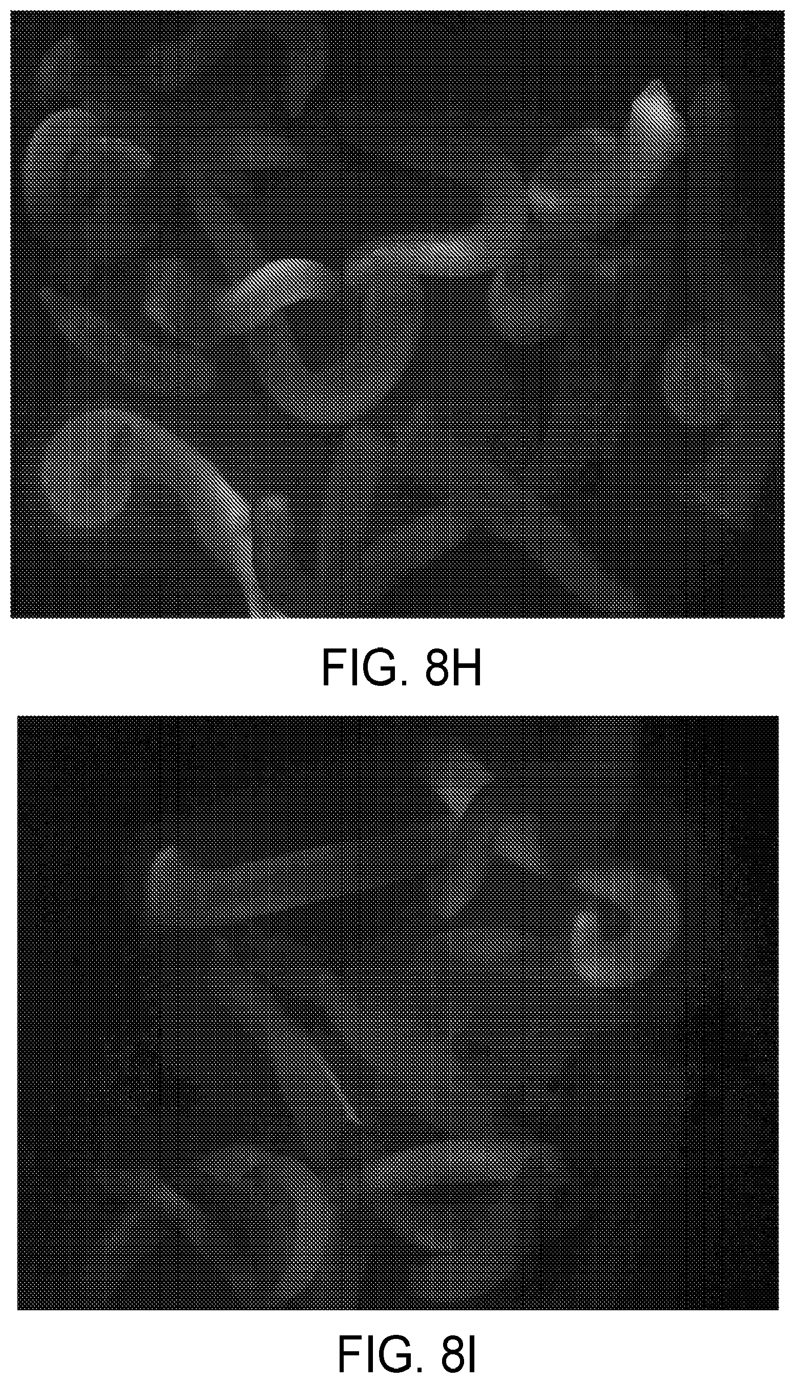 Patent US12590300 Figure 16 – Transcription activator-like effectors fused to inteins