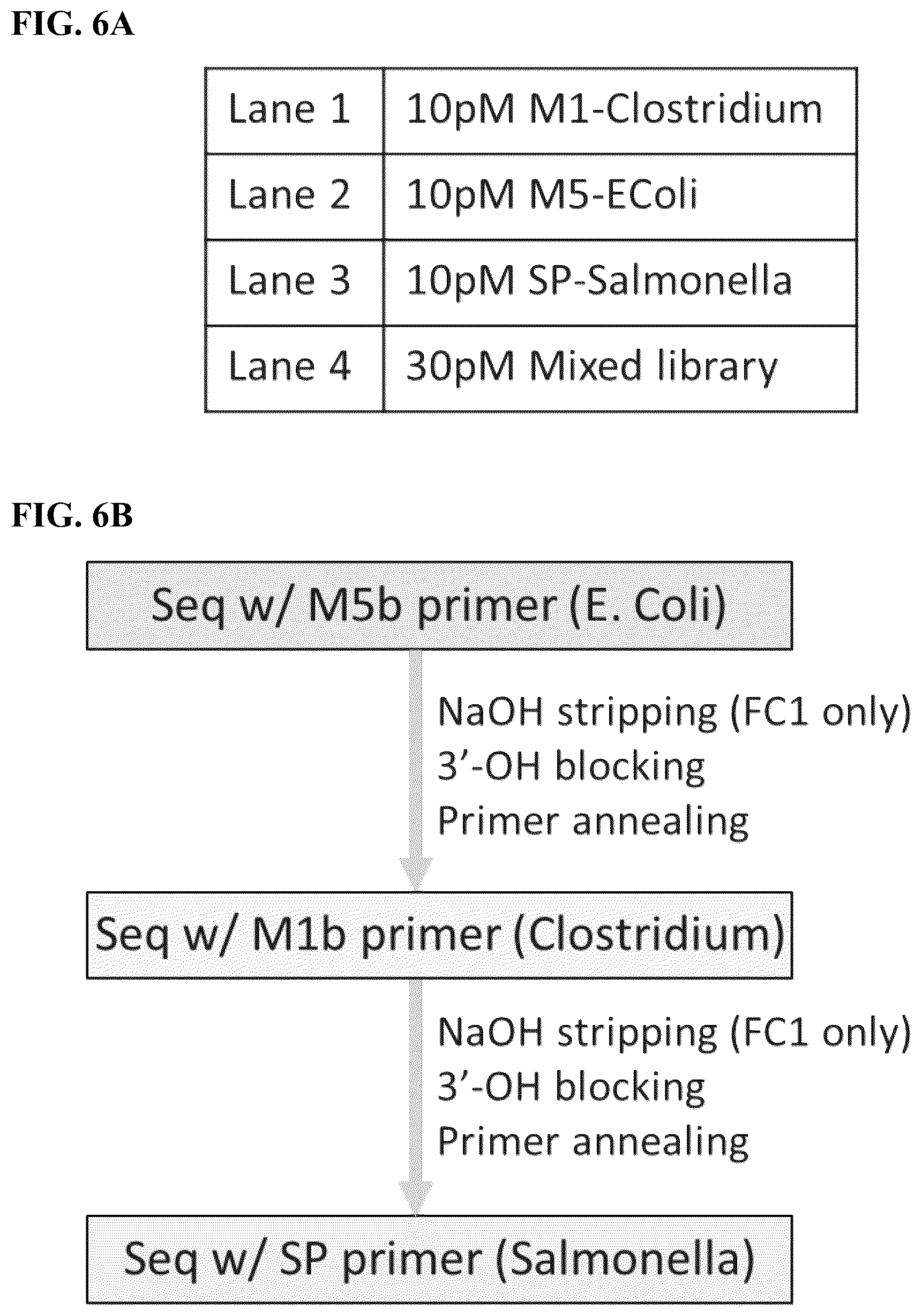 Patent US12590302 Figure 7 – Multiplexed sequencing in cells and tissues