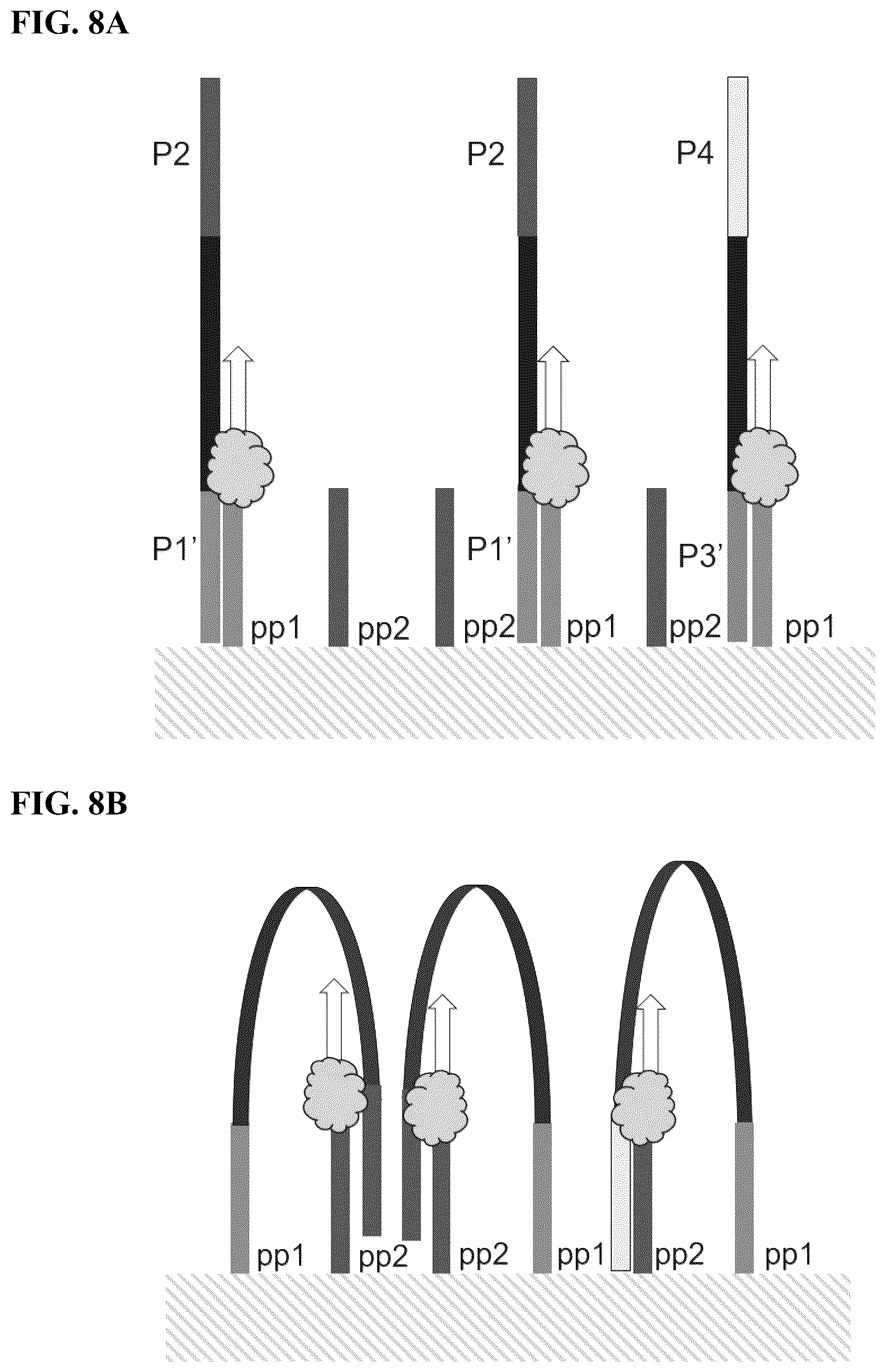 Patent US12590302 Figure 9 – Multiplexed sequencing in cells and tissues