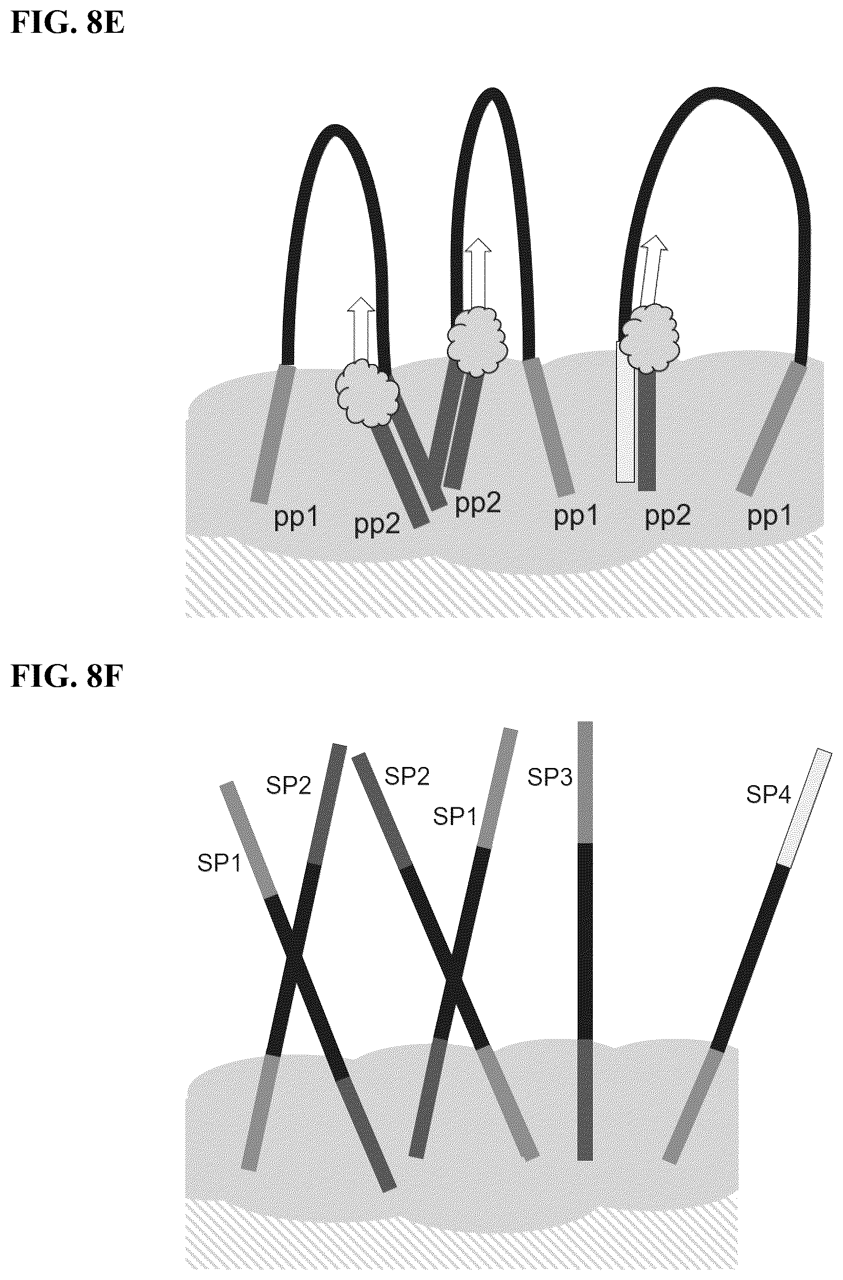 Patent US12590302 Figure 11 – Multiplexed sequencing in cells and tissues